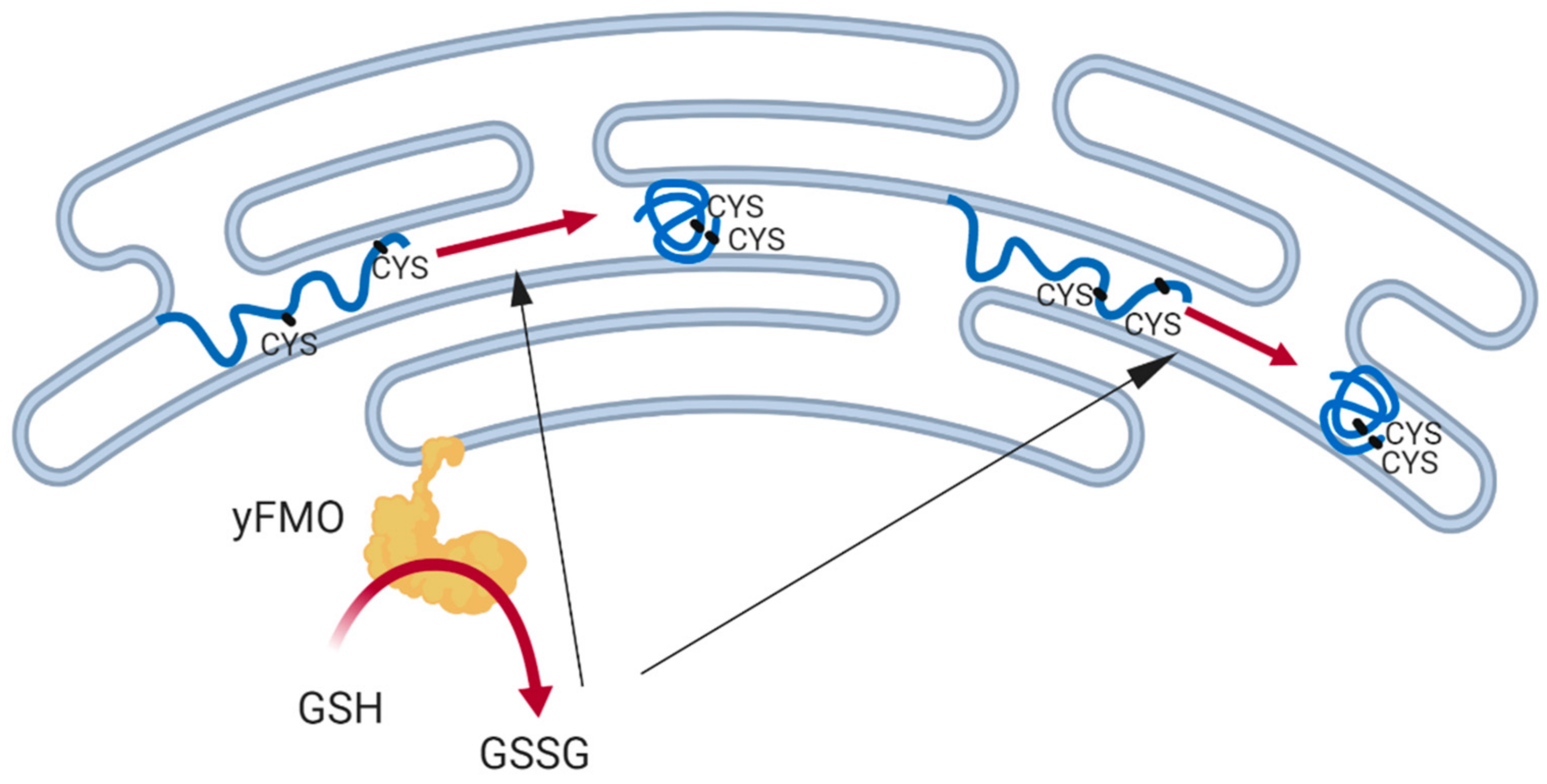 Catalysts 09 01028 g005 Catalysts 09 01028 g005