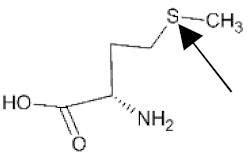 Catalysts 09 01028 i003 Catalysts 09 01028 i003