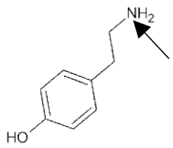 Catalysts 09 01028 i004 Catalysts 09 01028 i004