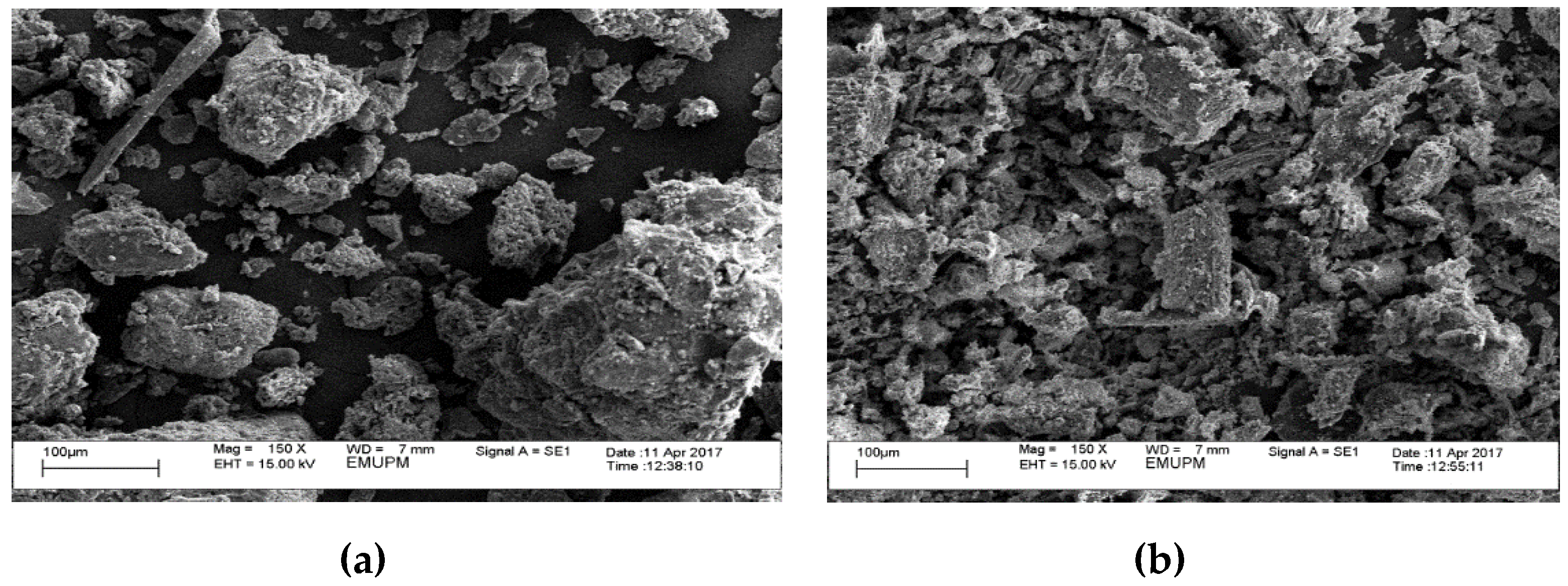 Catalysts 09 01029 g005 Catalysts 09 01029 g005