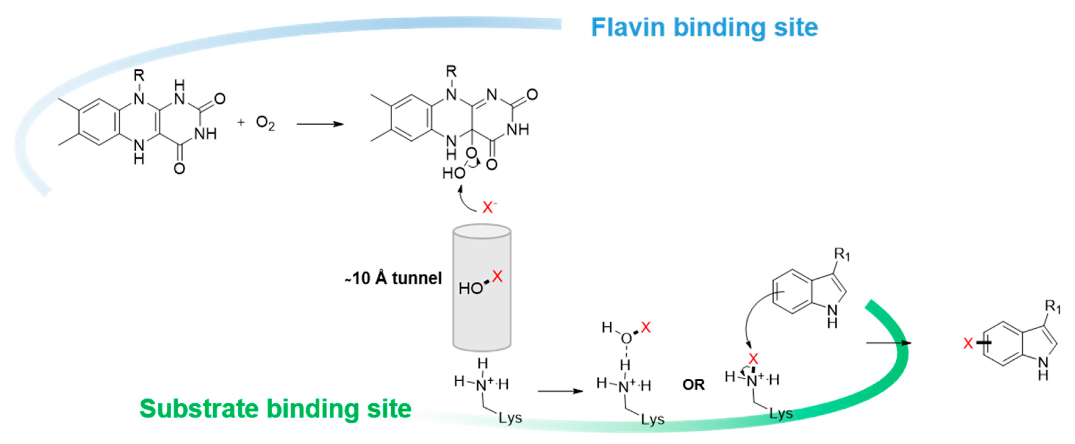 Catalysts 09 01030 g002 Catalysts 09 01030 g002