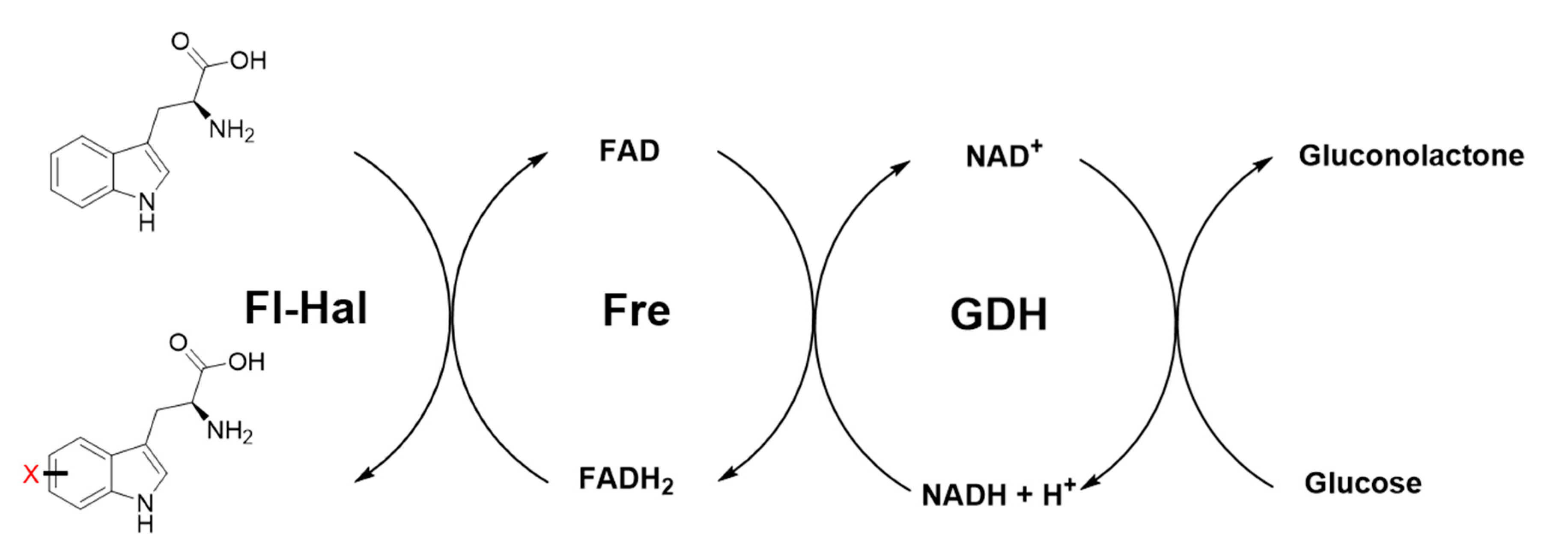 Catalysts 09 01030 g004 Catalysts 09 01030 g004