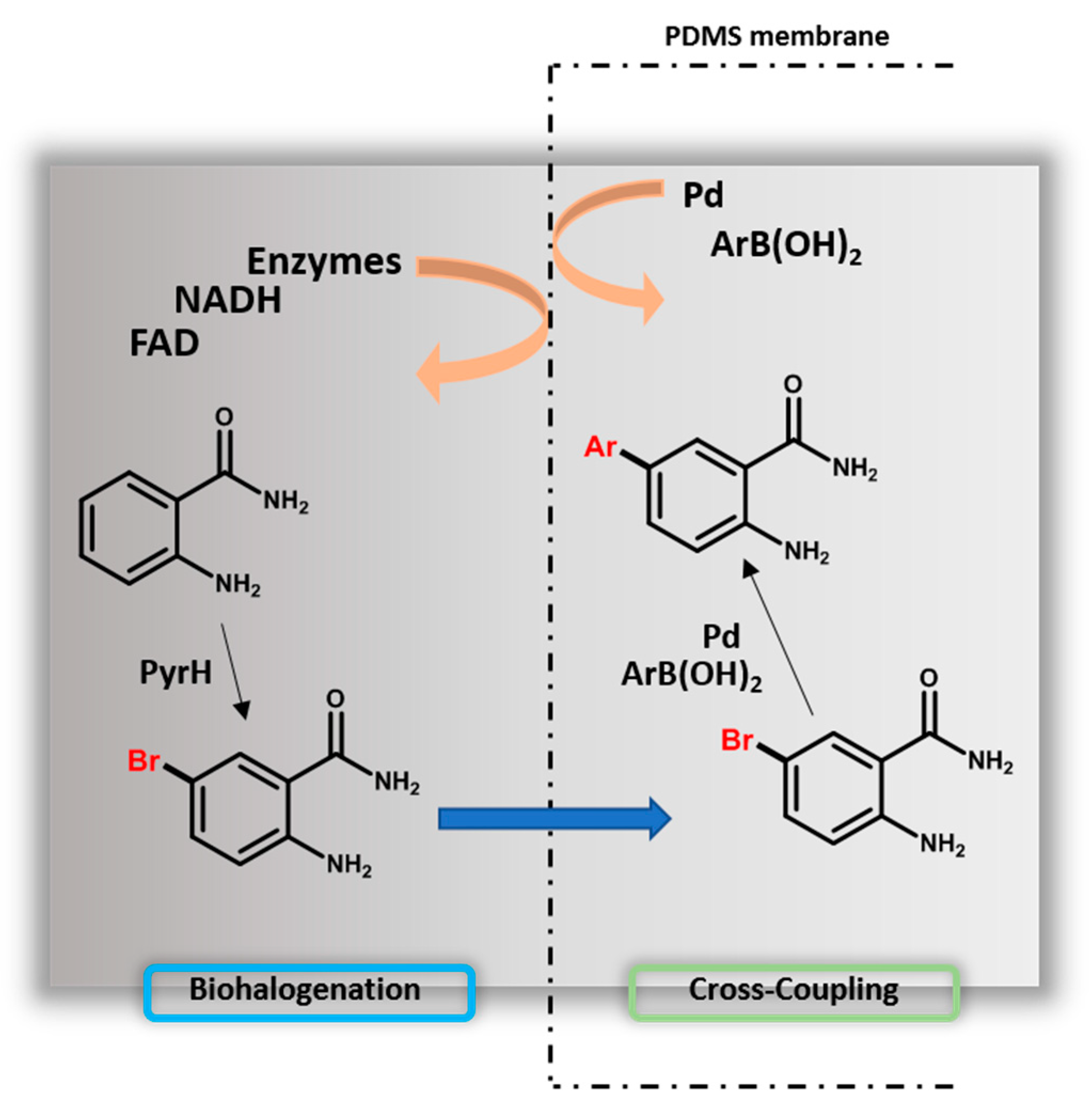 Catalysts 09 01030 g012 Catalysts 09 01030 g012