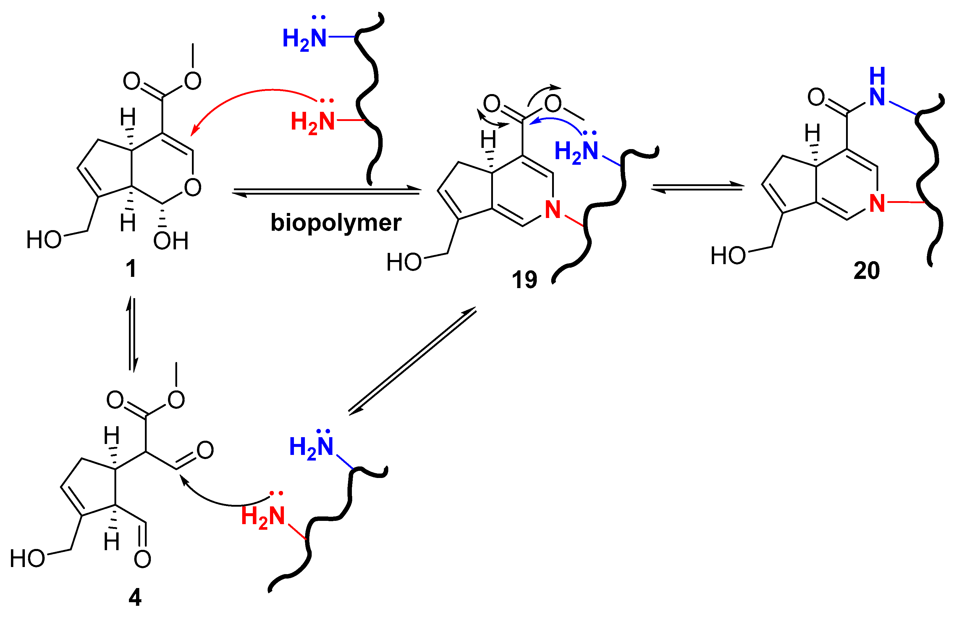 Catalysts 09 01035 g005 Catalysts 09 01035 g005