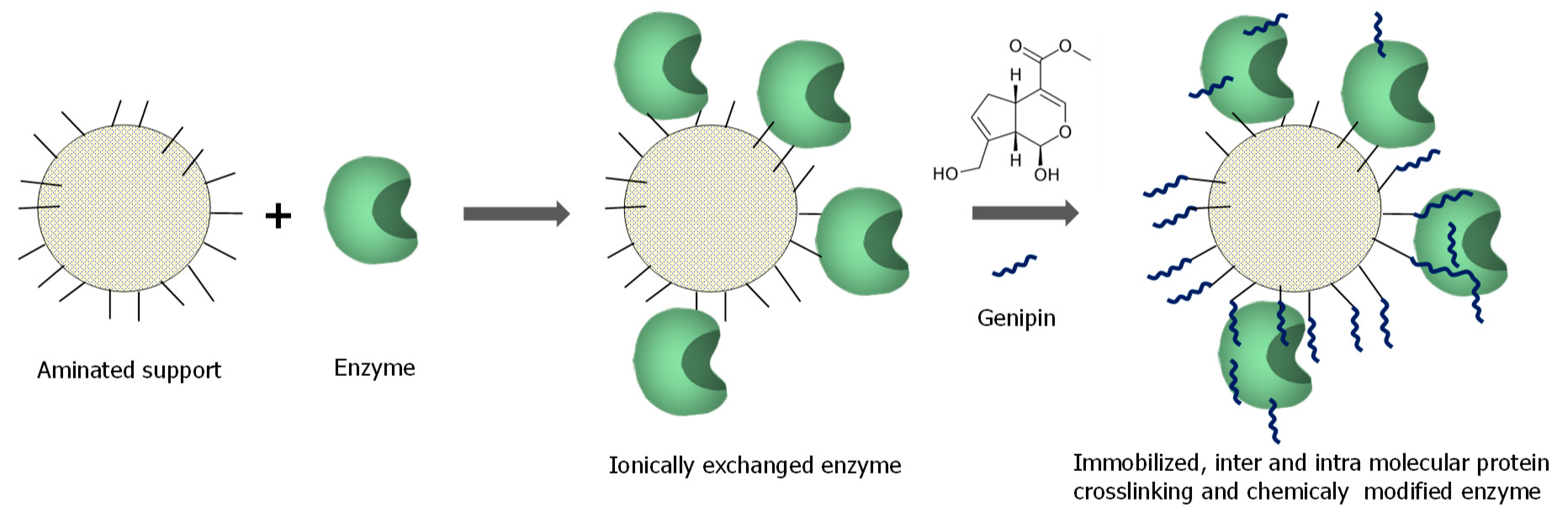 Catalysts 09 01035 g009 Catalysts 09 01035 g009