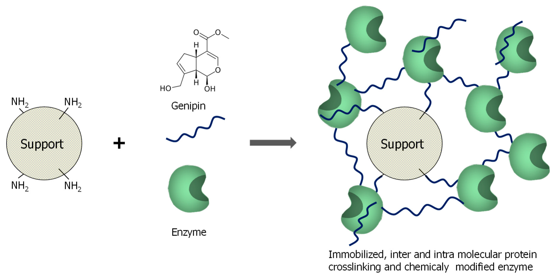 Catalysts 09 01035 g010 Catalysts 09 01035 g010
