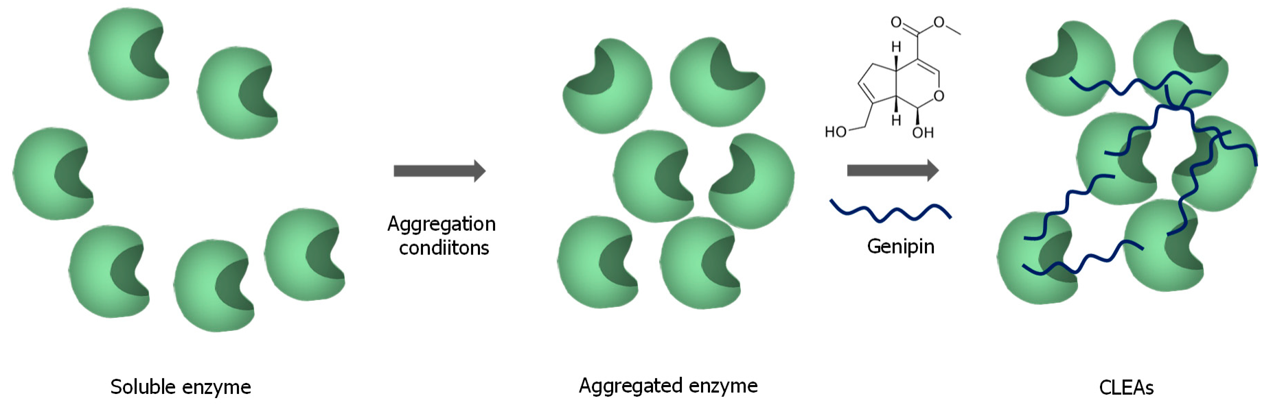 Catalysts 09 01035 g011 Catalysts 09 01035 g011