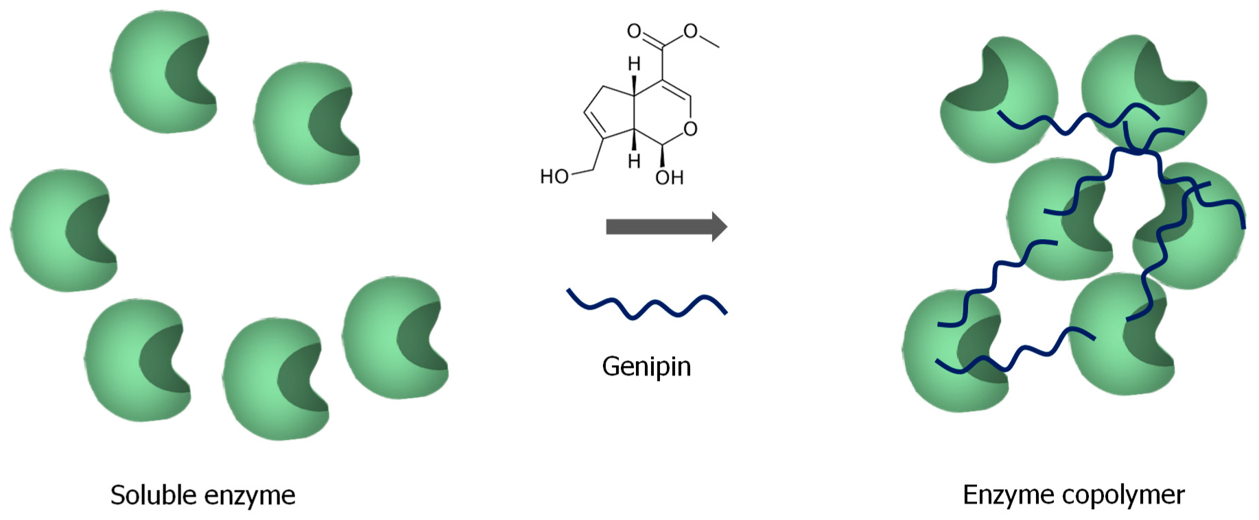 Catalysts 09 01035 g012 Catalysts 09 01035 g012