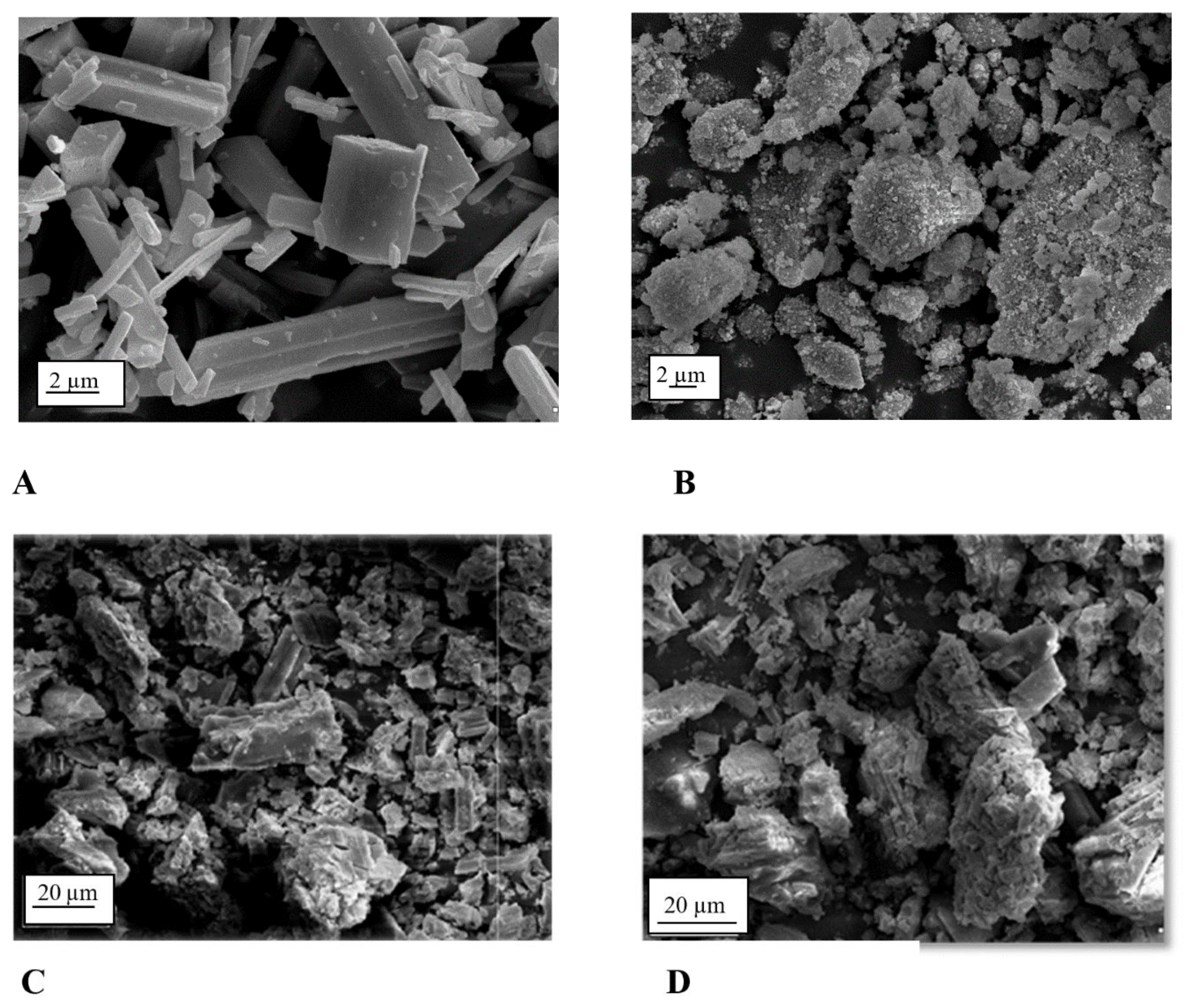 Catalysts 09 01044 g002 Catalysts 09 01044 g002
