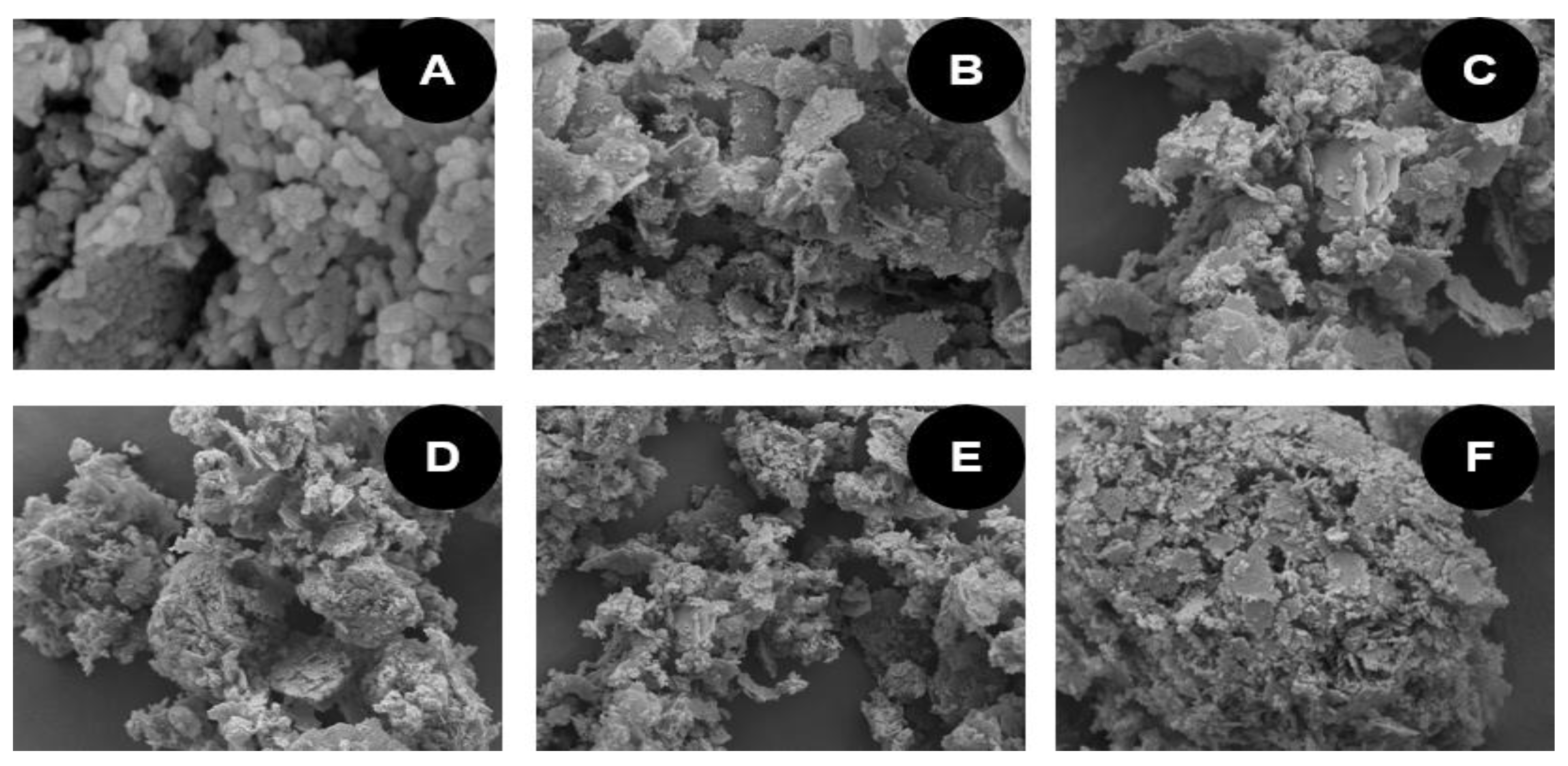 Catalysts 09 01047 g003 Catalysts 09 01047 g003