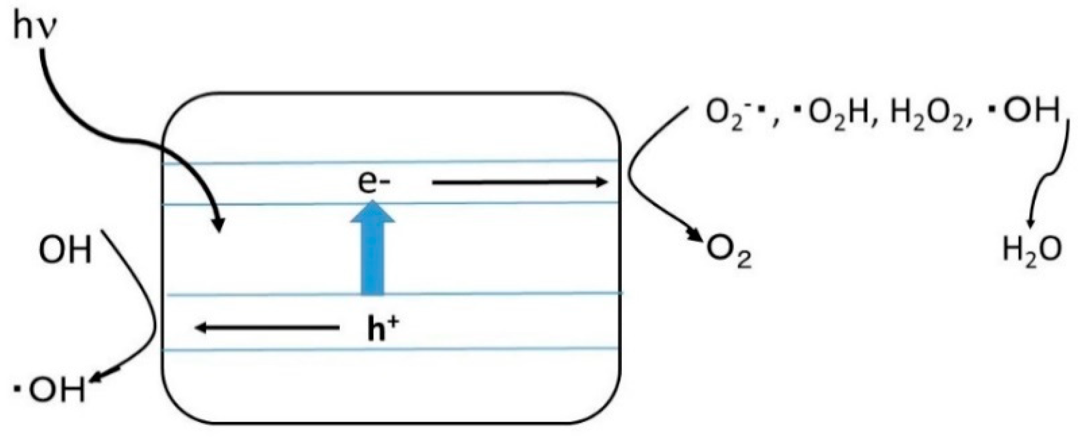 Catalysts 09 01049 g006 Catalysts 09 01049 g006
