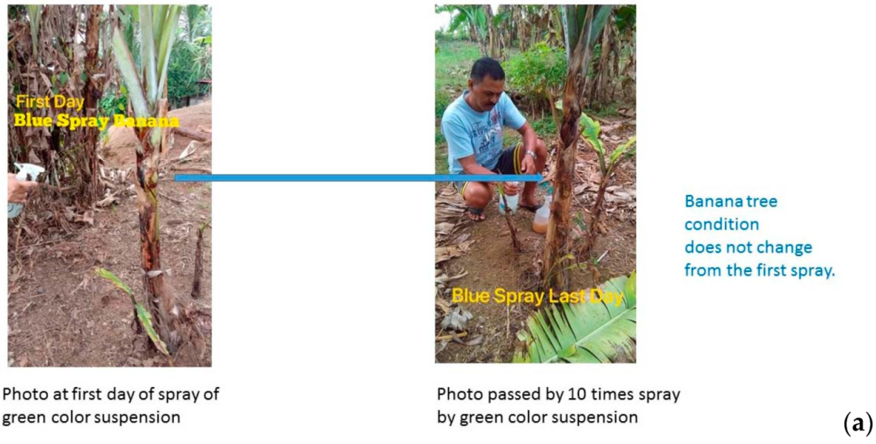 Catalysts 09 01049 g010a Catalysts 09 01049 g010a