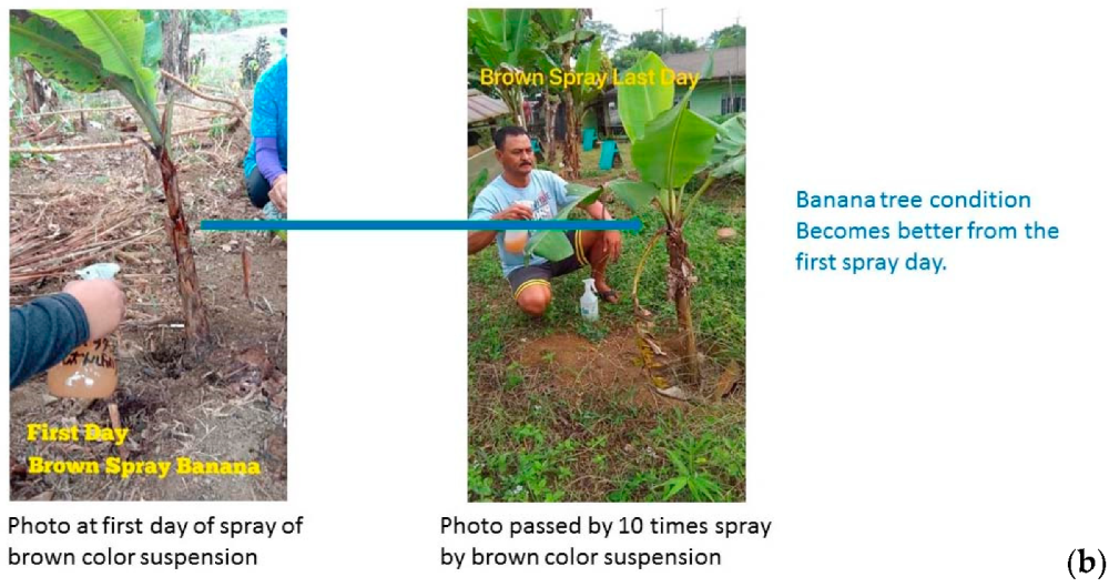 Catalysts 09 01049 g010b Catalysts 09 01049 g010b