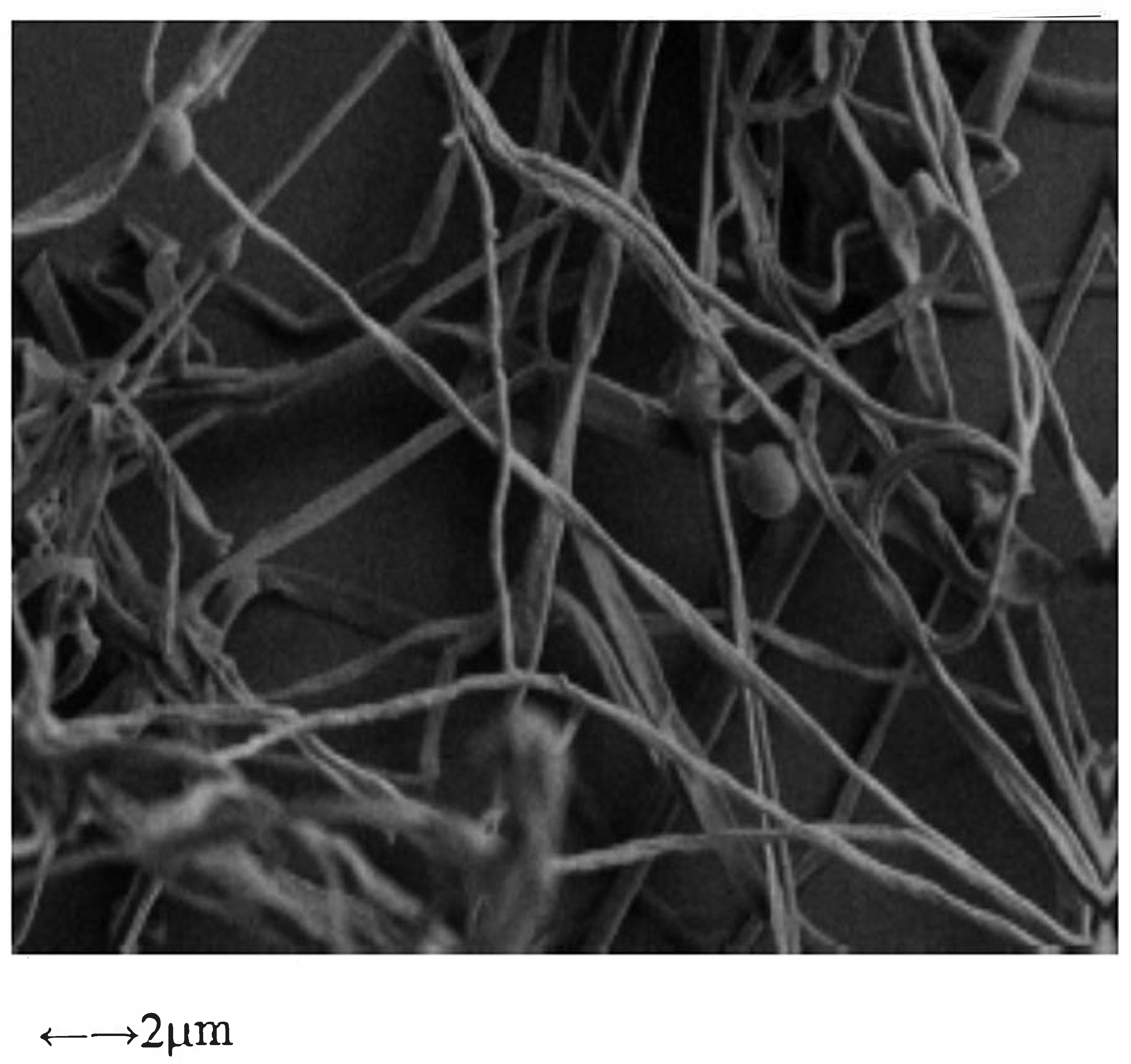 Catalysts 09 01049 g011 Catalysts 09 01049 g011