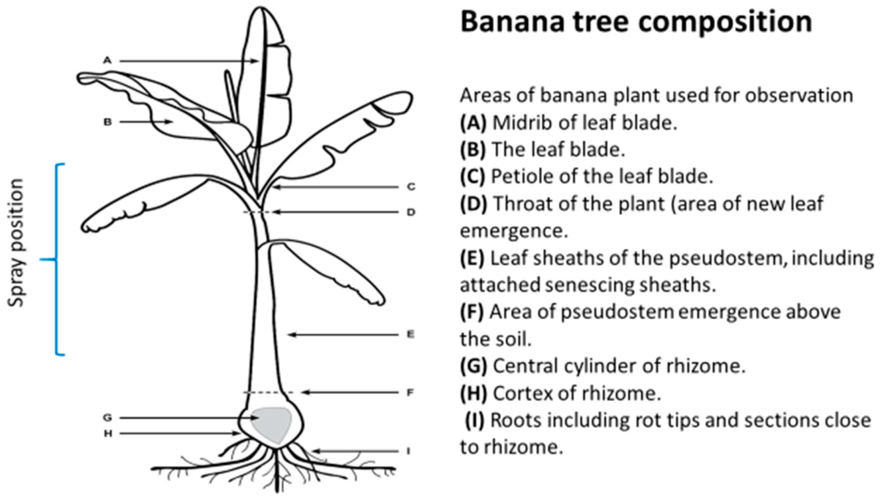 Catalysts 09 01049 g012 Catalysts 09 01049 g012