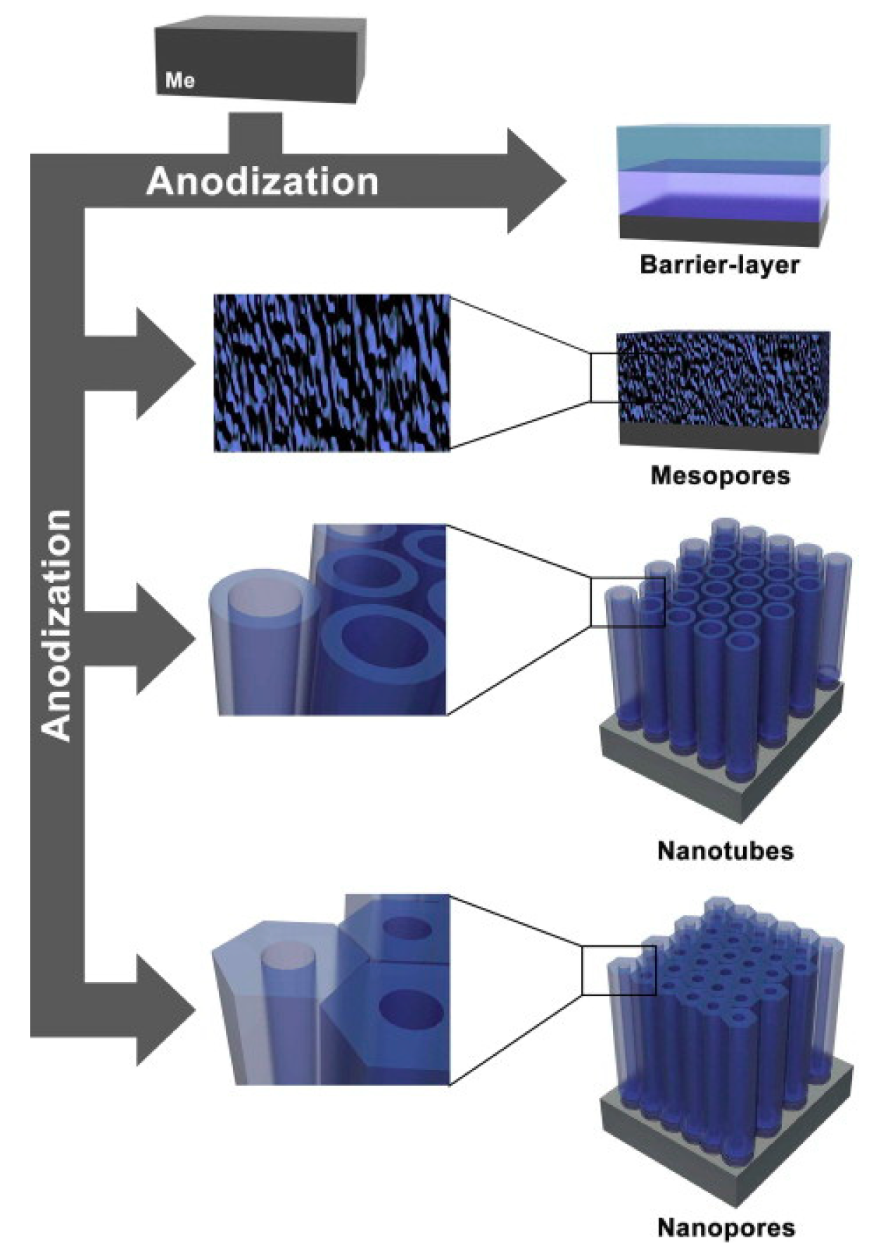 Catalysts 09 01054 g011 Catalysts 09 01054 g011