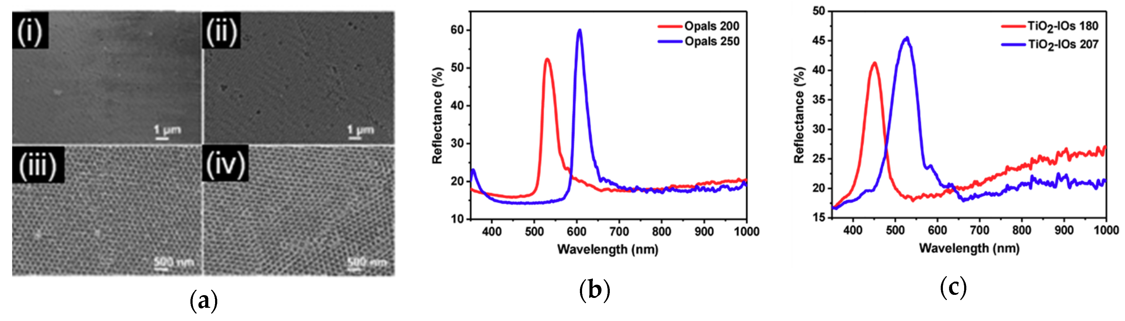 Catalysts 09 01054 g015 Catalysts 09 01054 g015