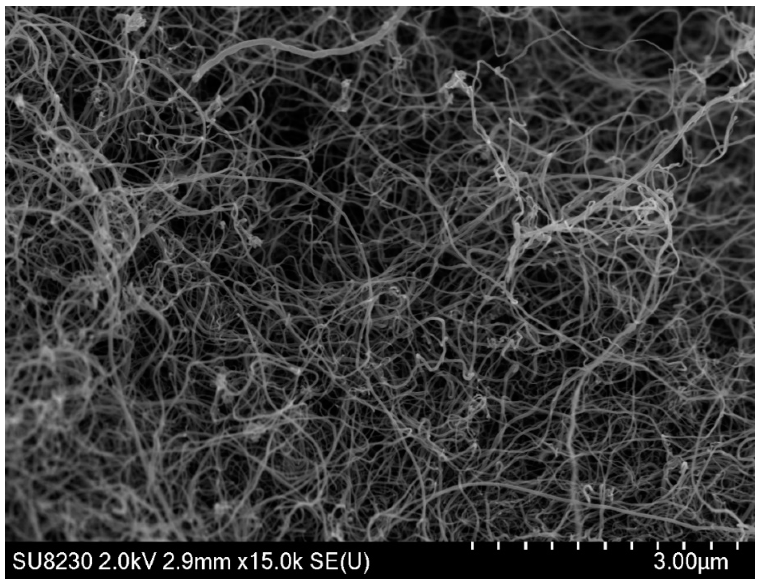 Catalysts 09 01069 g016