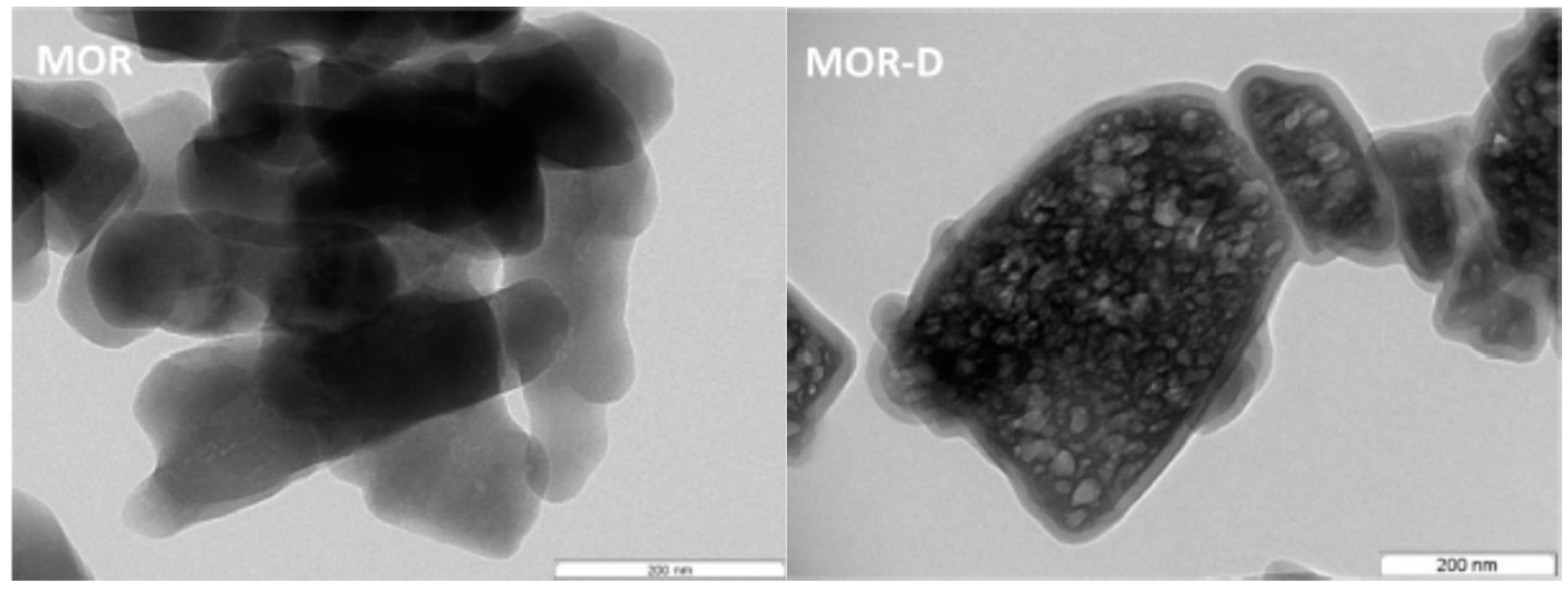 Catalysts 10 00002 g009