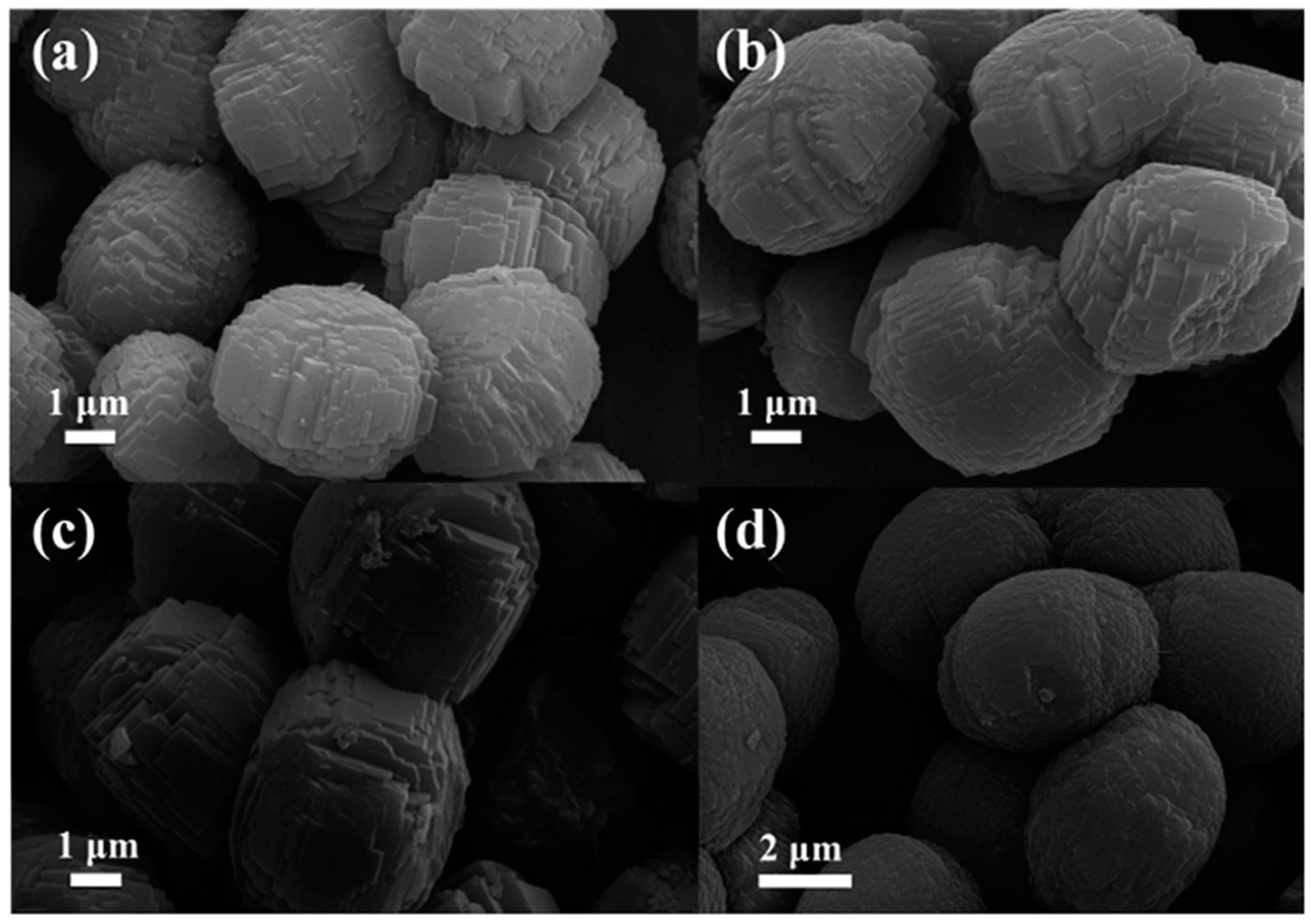 Catalysts 10 00002 g010