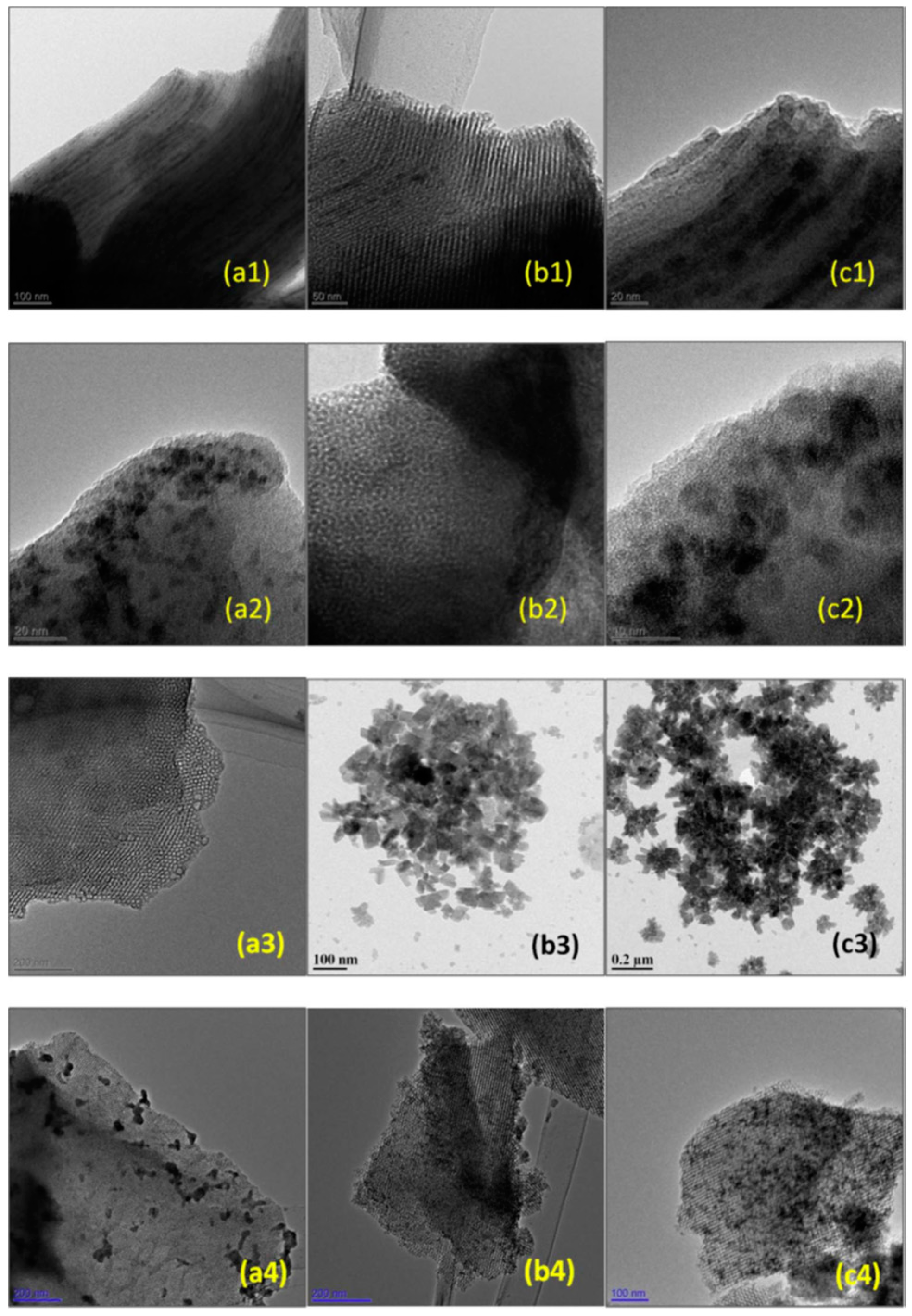 Catalysts 10 00002 g014