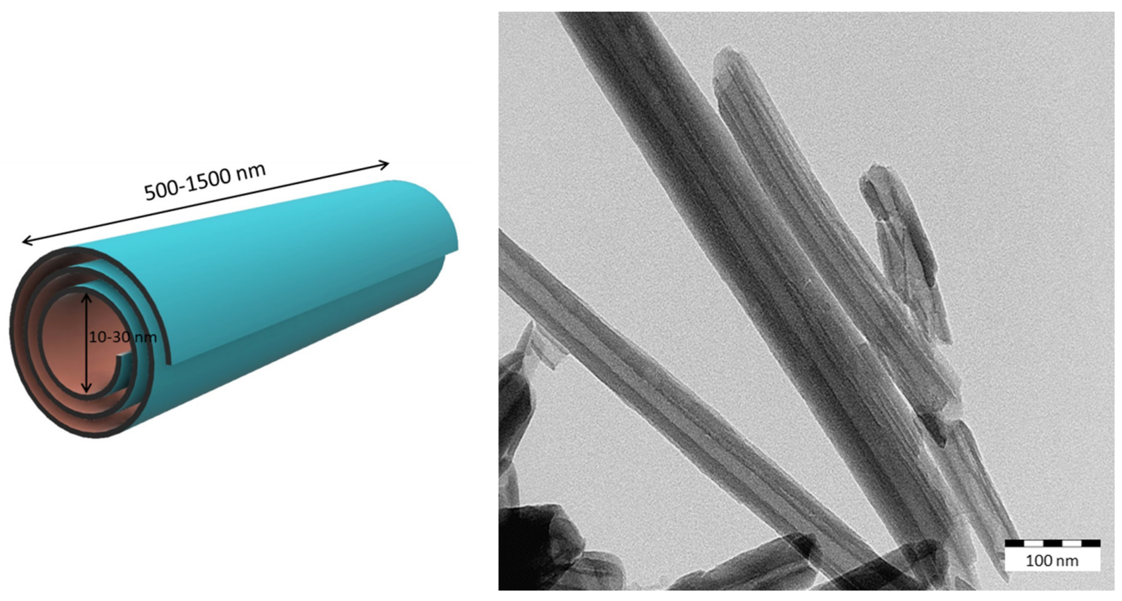 Catalysts 10 00007 g001 Catalysts 10 00007 g001