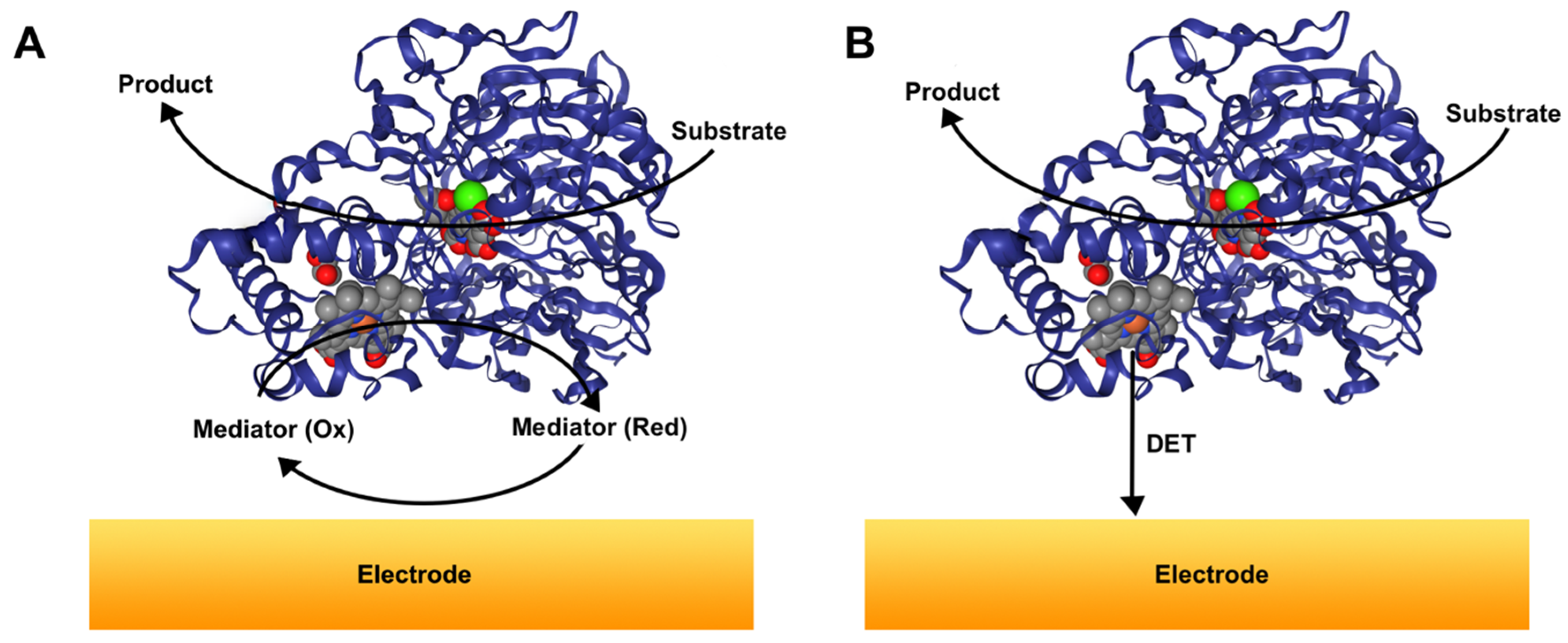Catalysts 10 00009 g001 Catalysts 10 00009 g001