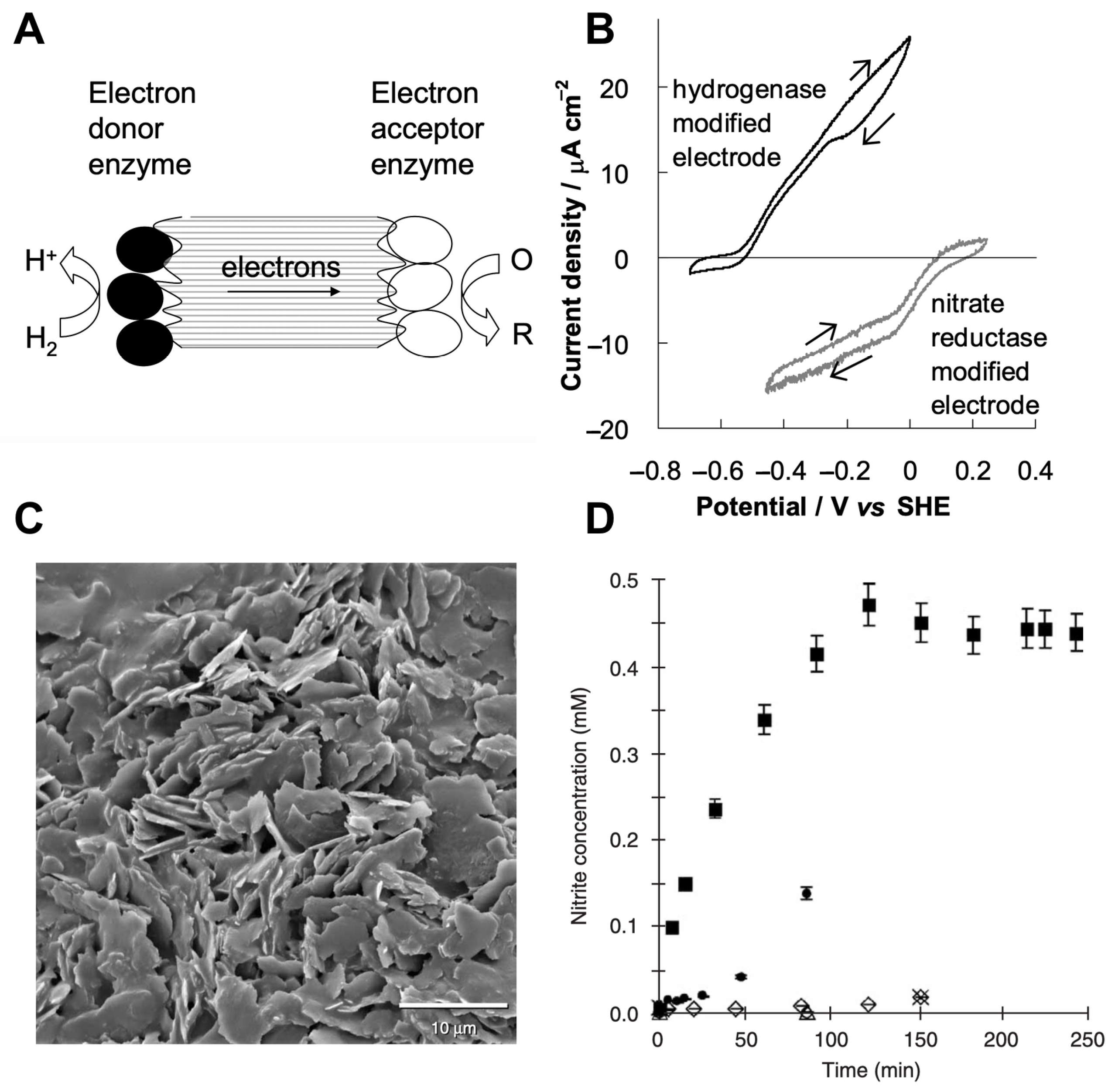 Catalysts 10 00009 g003 Catalysts 10 00009 g003