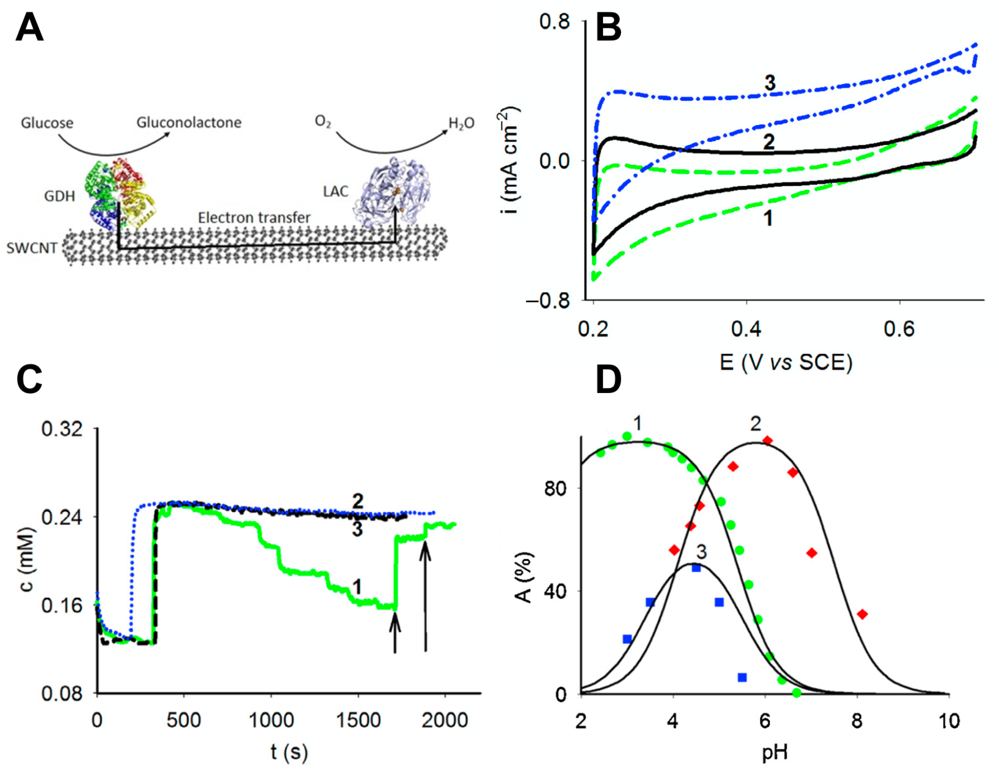Catalysts 10 00009 g005 Catalysts 10 00009 g005