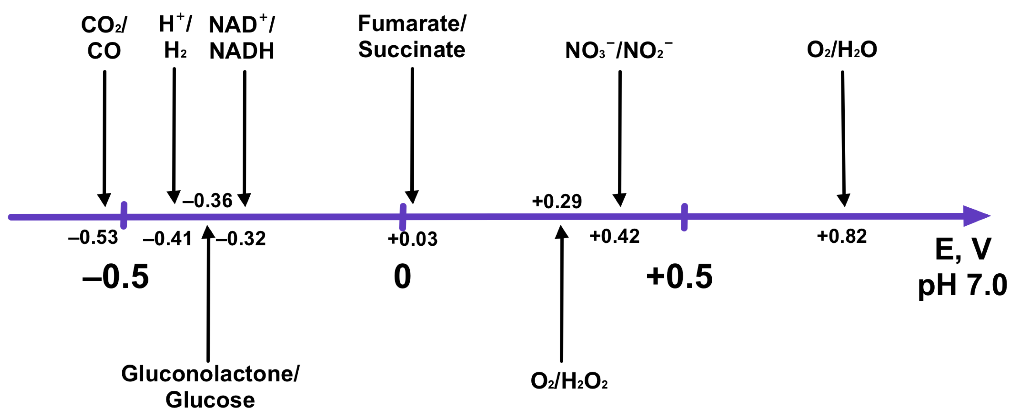 Catalysts 10 00009 g010 Catalysts 10 00009 g010