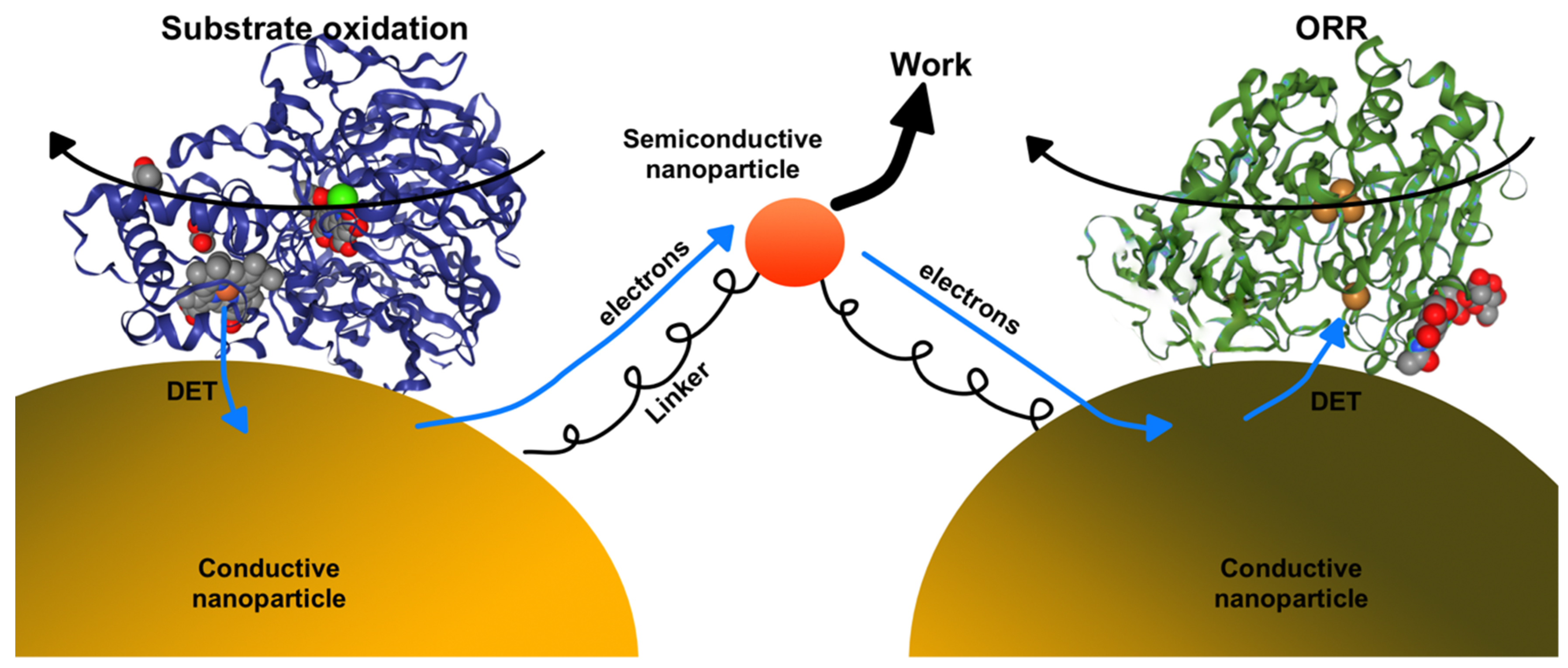 Catalysts 10 00009 g011 Catalysts 10 00009 g011