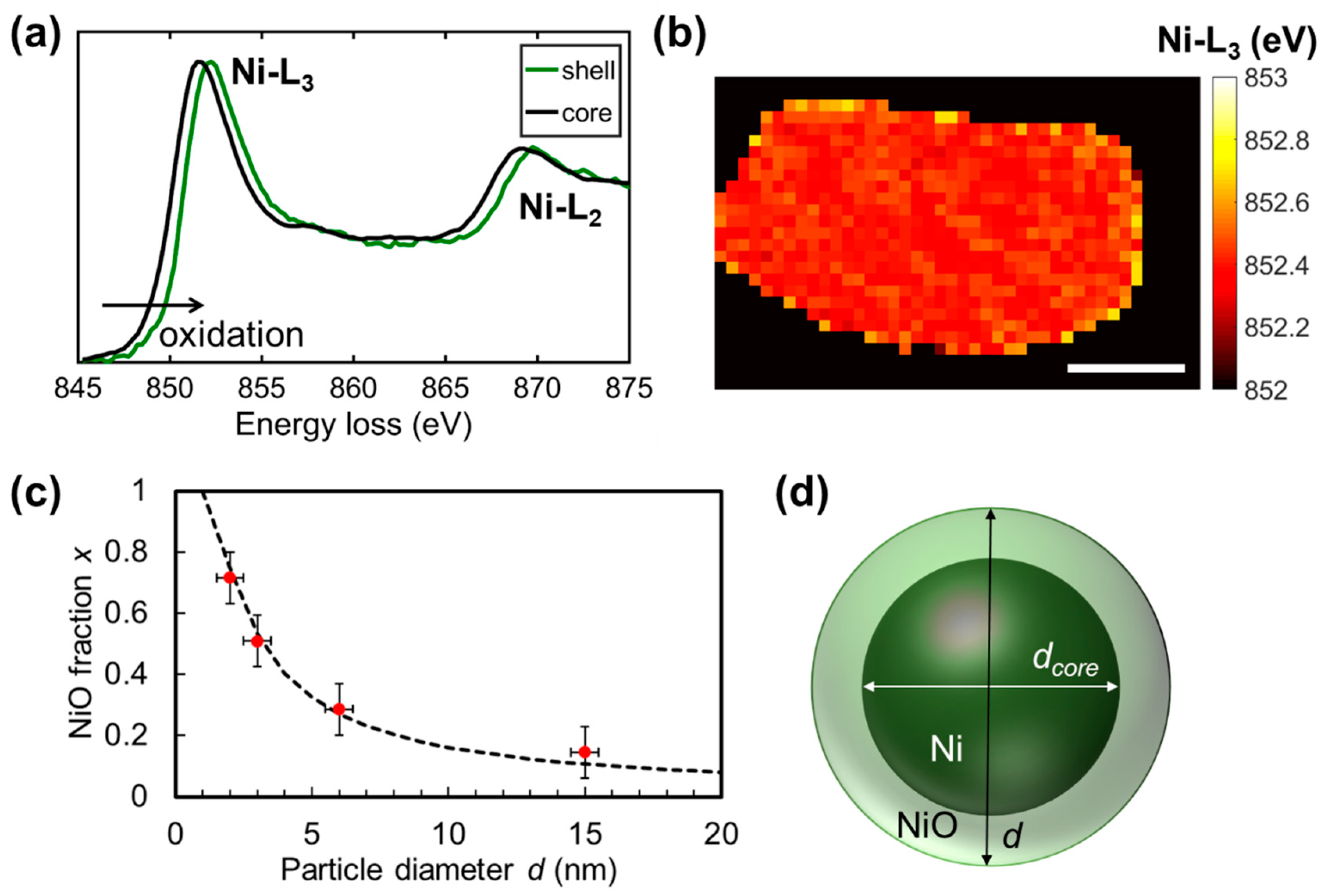 Catalysts 10 00013 g005