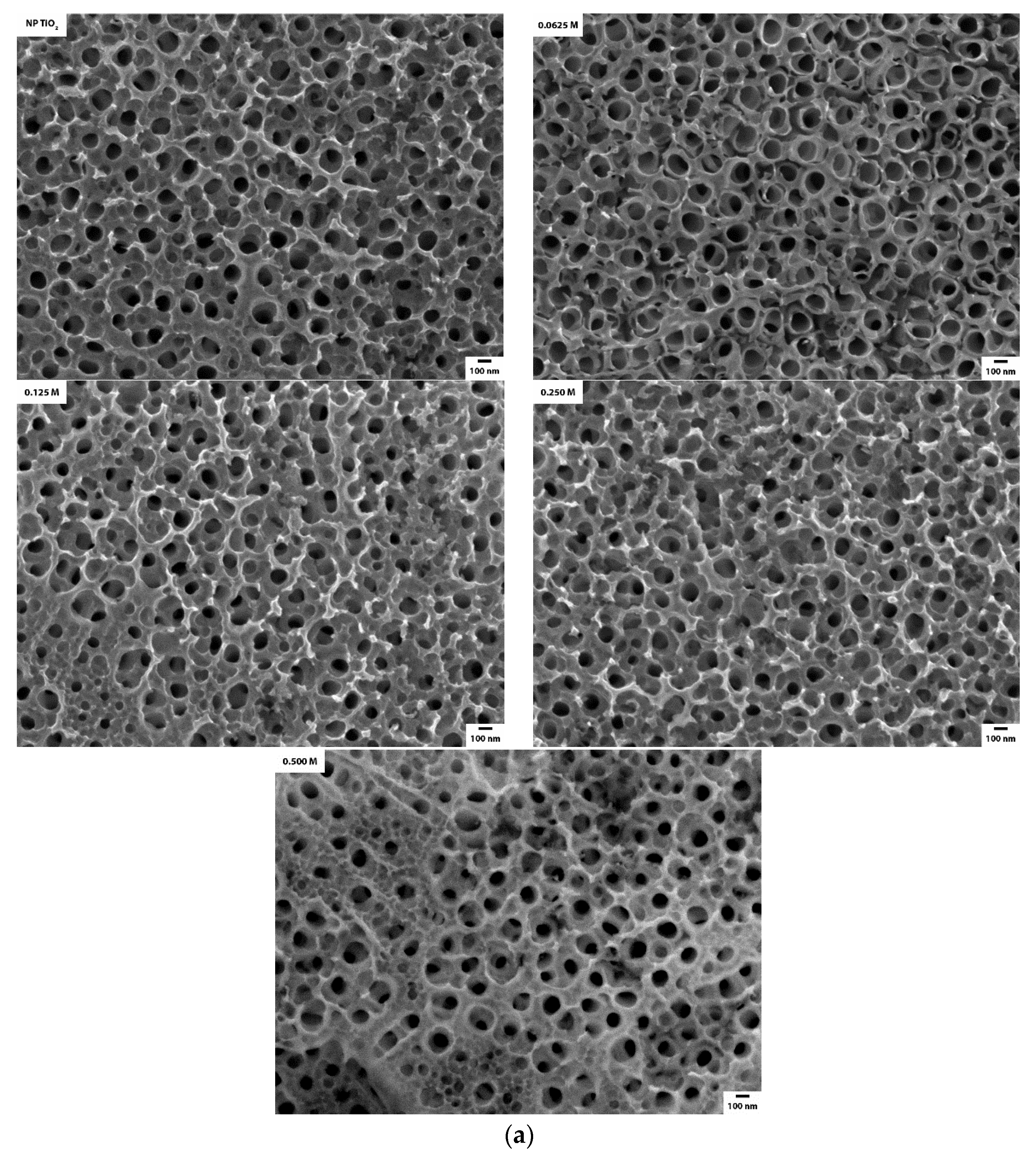 Catalysts 10 00019 g007a