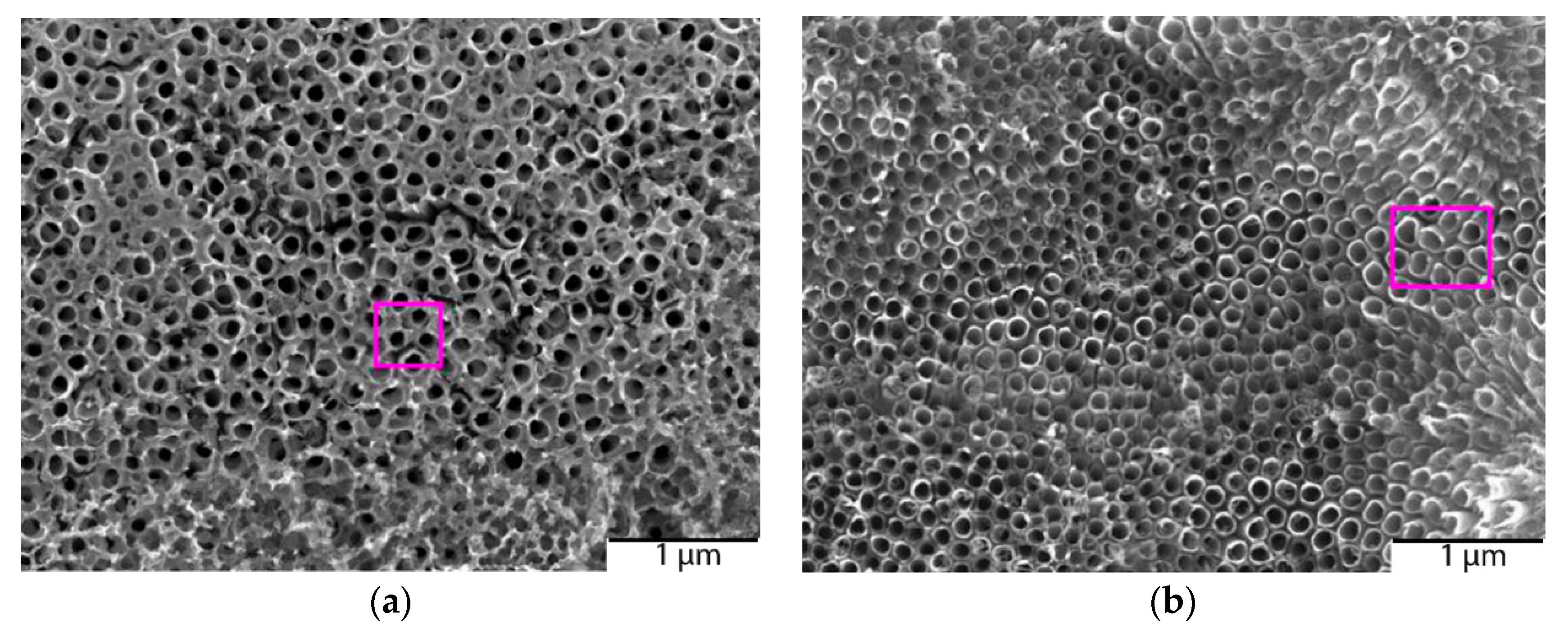 Catalysts 10 00019 g008