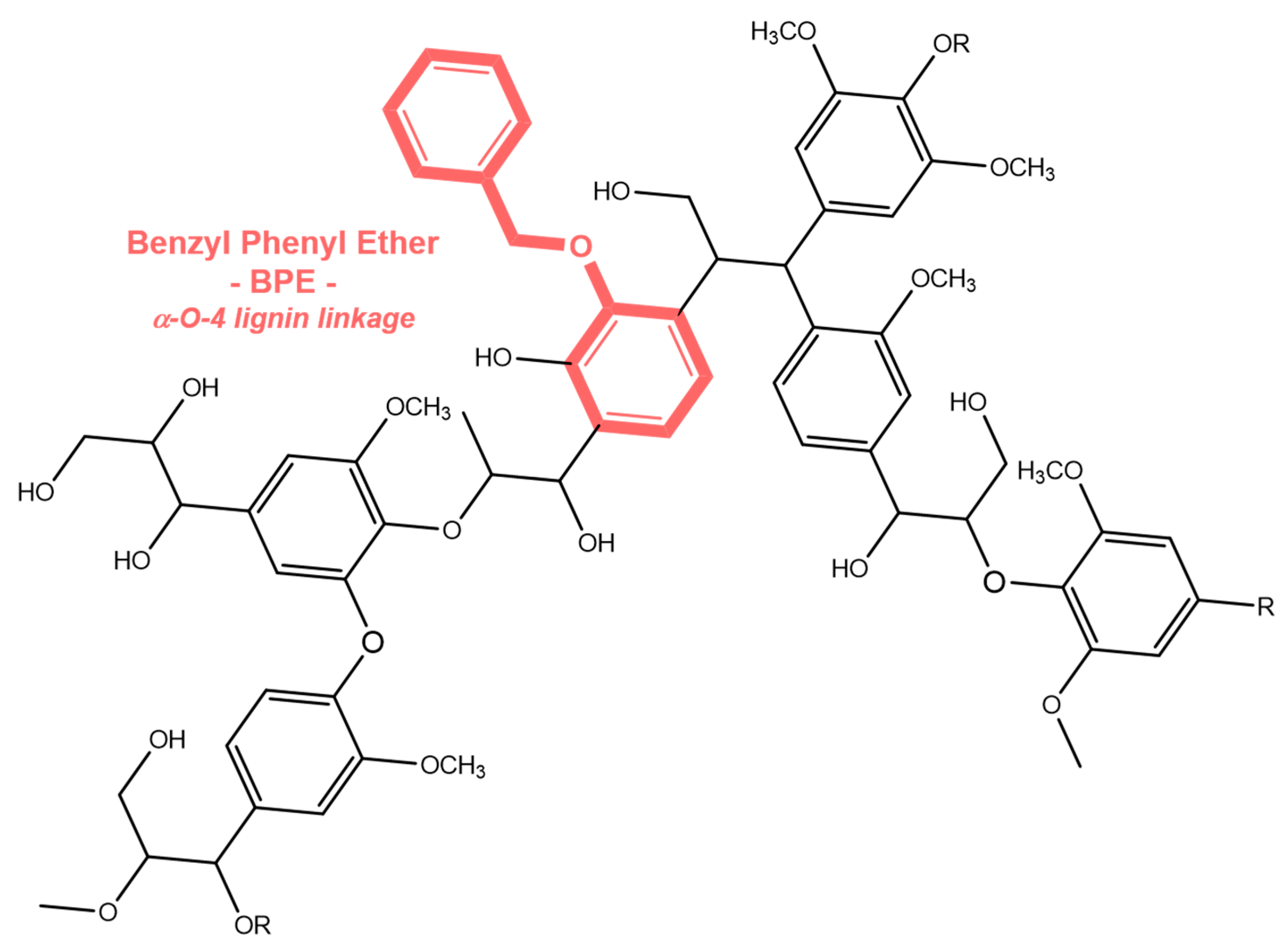 Catalysts 10 00020 sch002