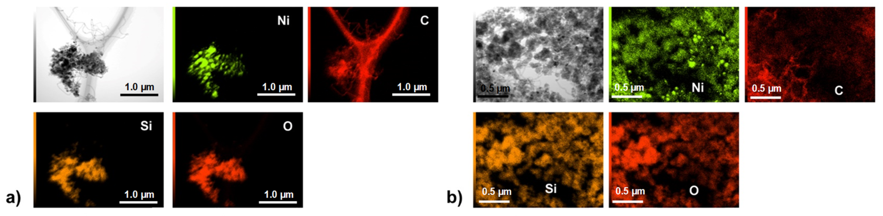Catalysts 10 00021 g010