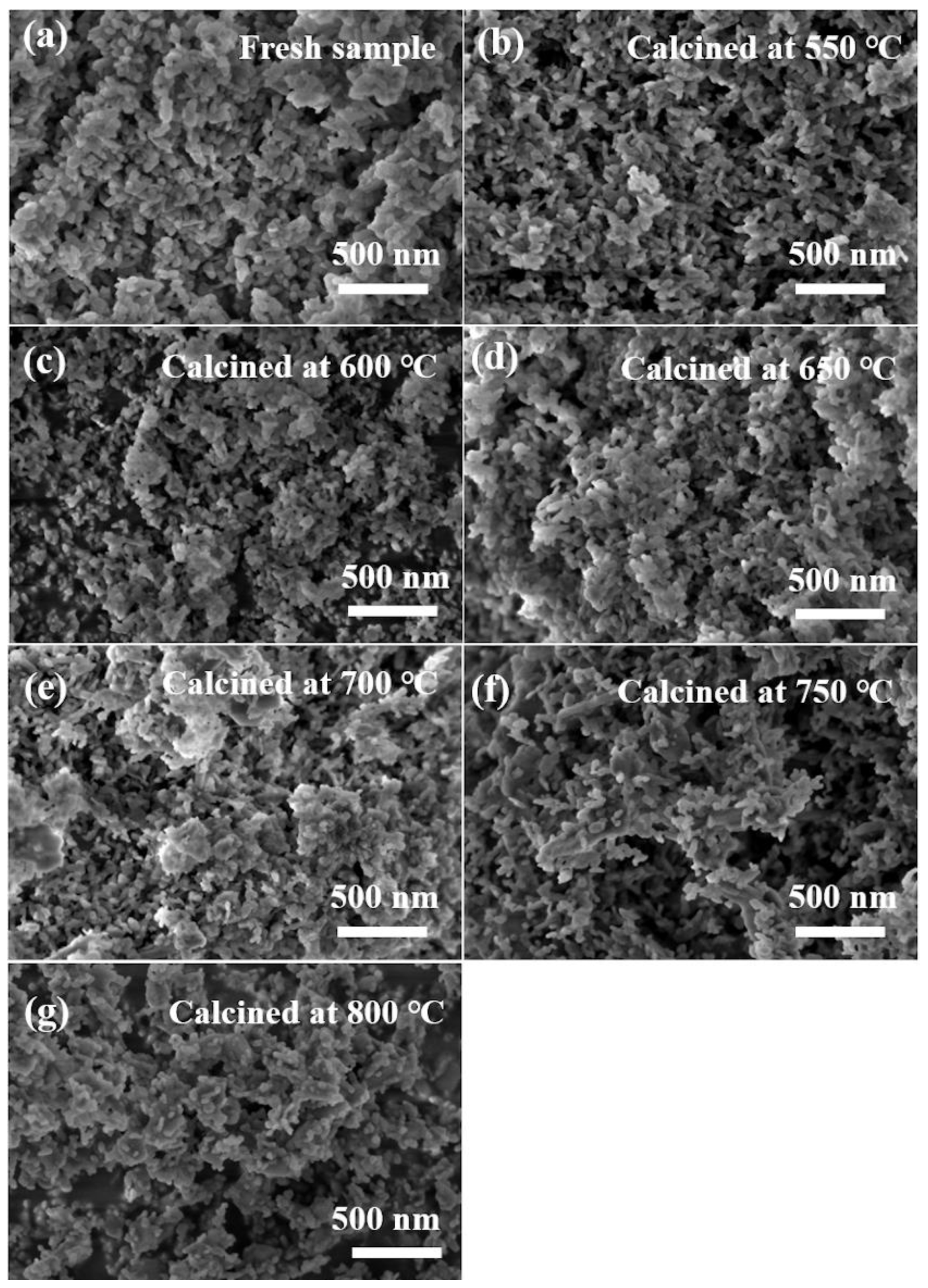 Catalysts 10 00022 g002