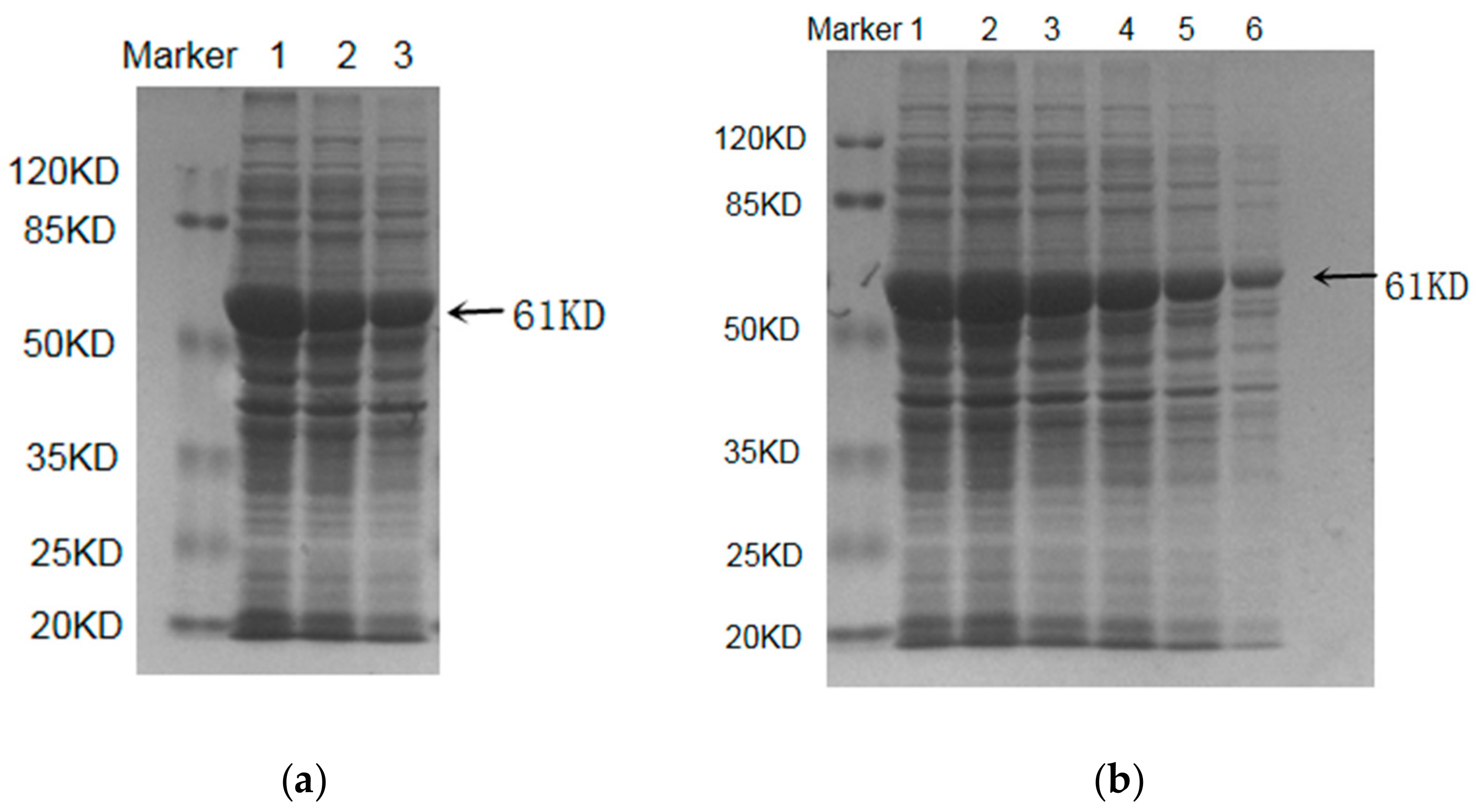 Catalysts 10 00033 g001