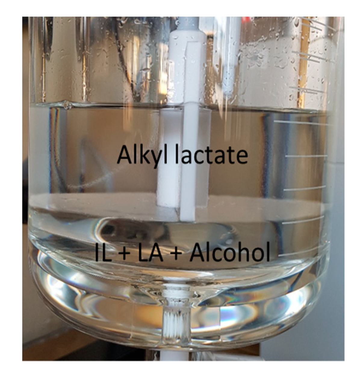 Catalysts 10 00037 sch004