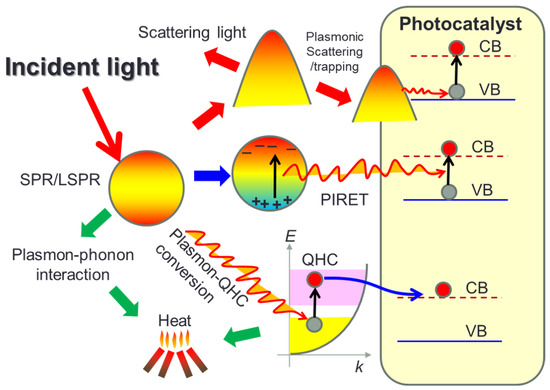 Pdf Use Of An Alternate Light Source To Detect Tooth And Bone