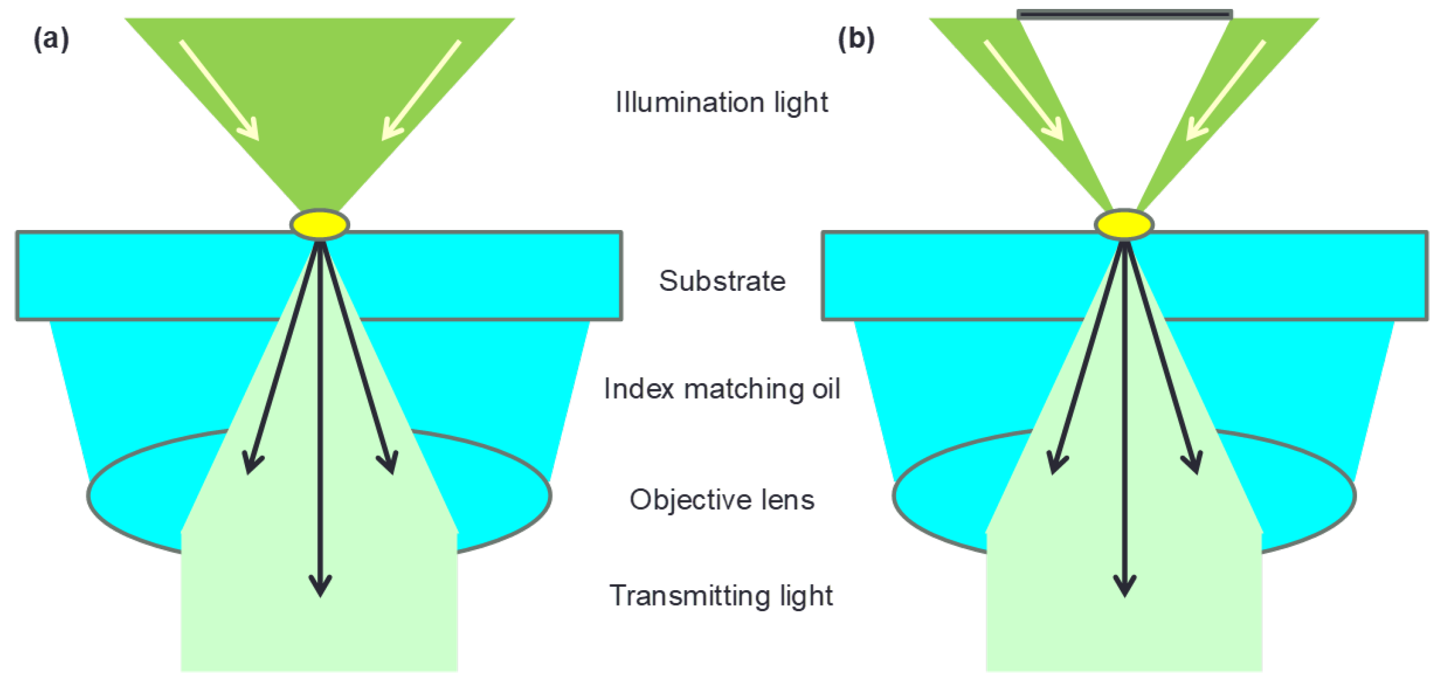 Catalysts 10 00046 g004 Catalysts 10 00046 g004