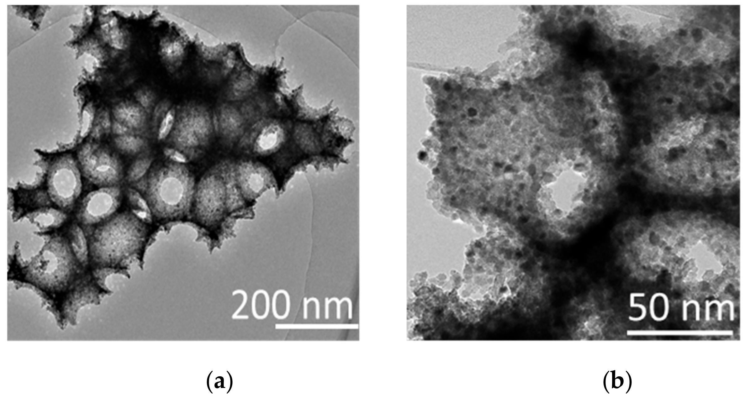 Catalysts 10 00049 g002 Catalysts 10 00049 g002