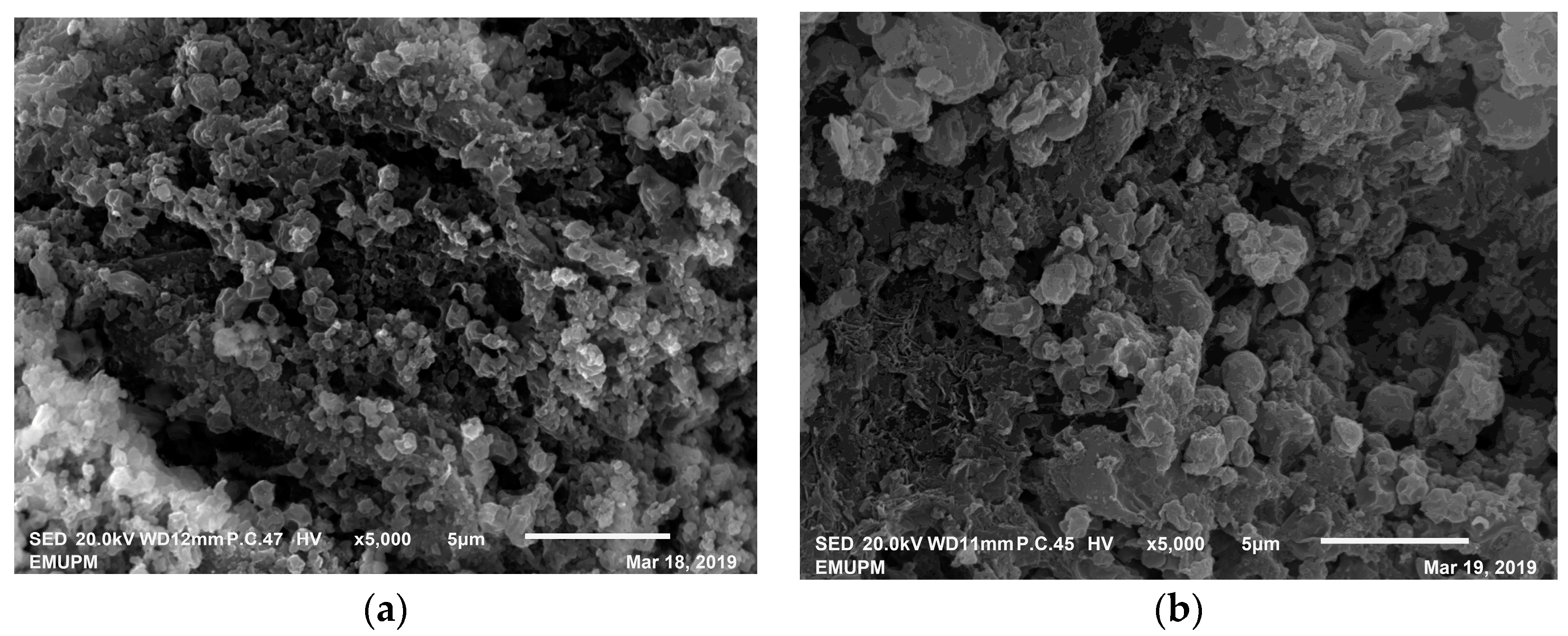 Catalysts 10 00055 g008