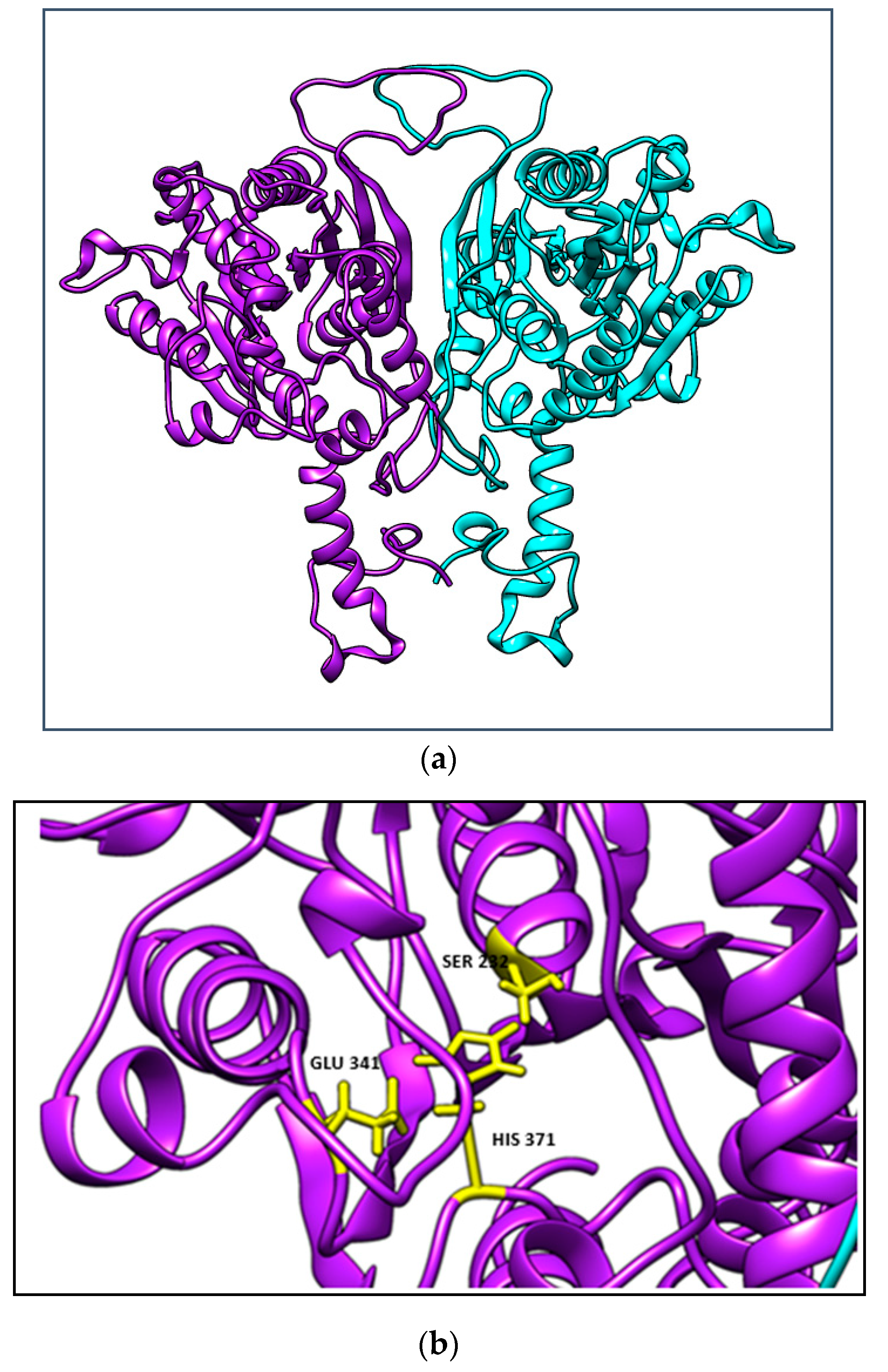 Catalysts 10 00058 g009