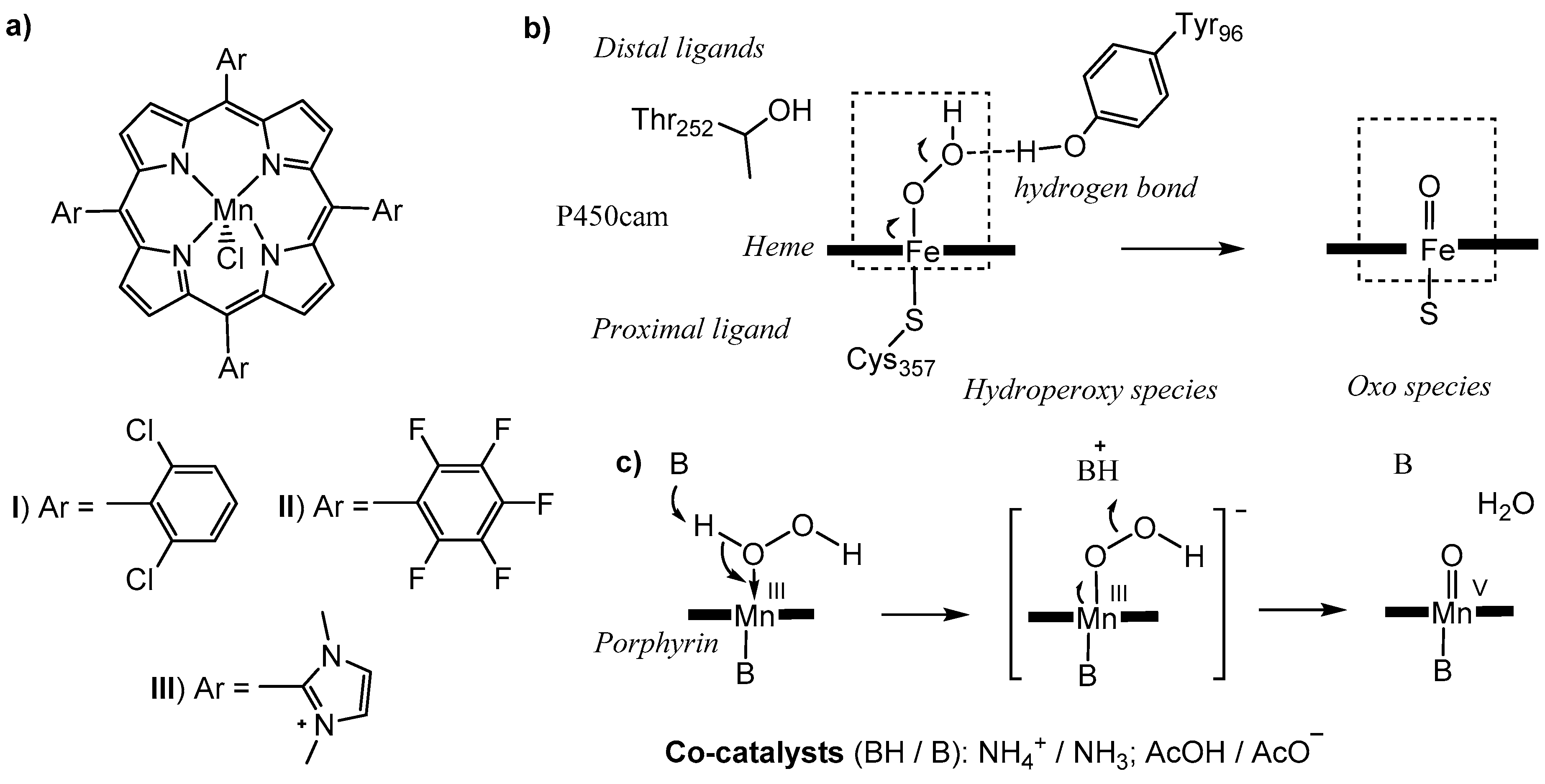 Catalysts 10 00062 g002 Catalysts 10 00062 g002