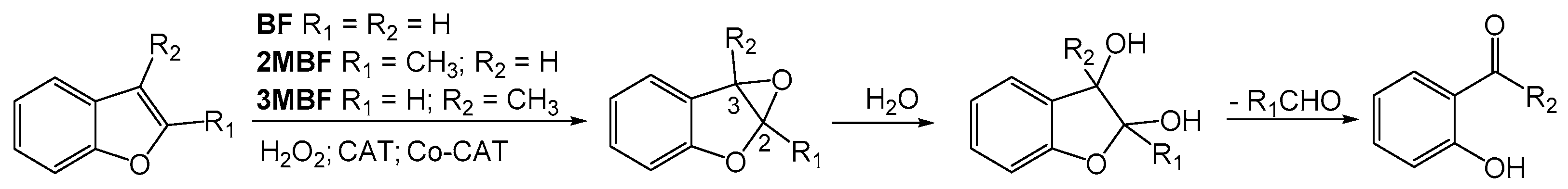 Catalysts 10 00062 sch001 Catalysts 10 00062 sch001