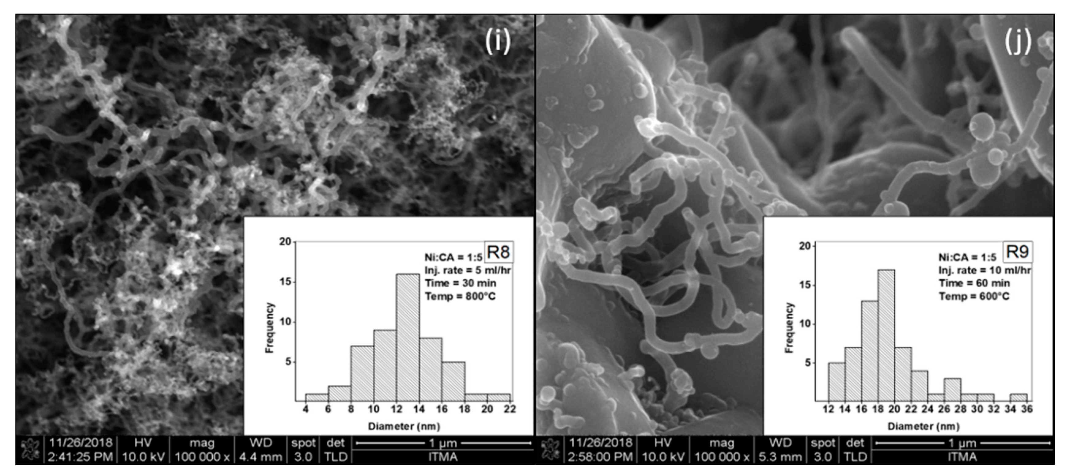 Catalysts 10 00067 g003b Catalysts 10 00067 g003b