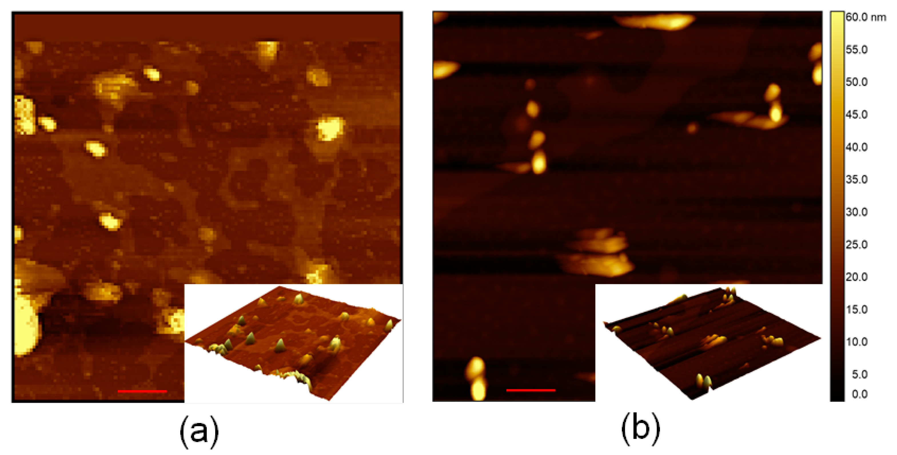 Catalysts 10 00078 g005