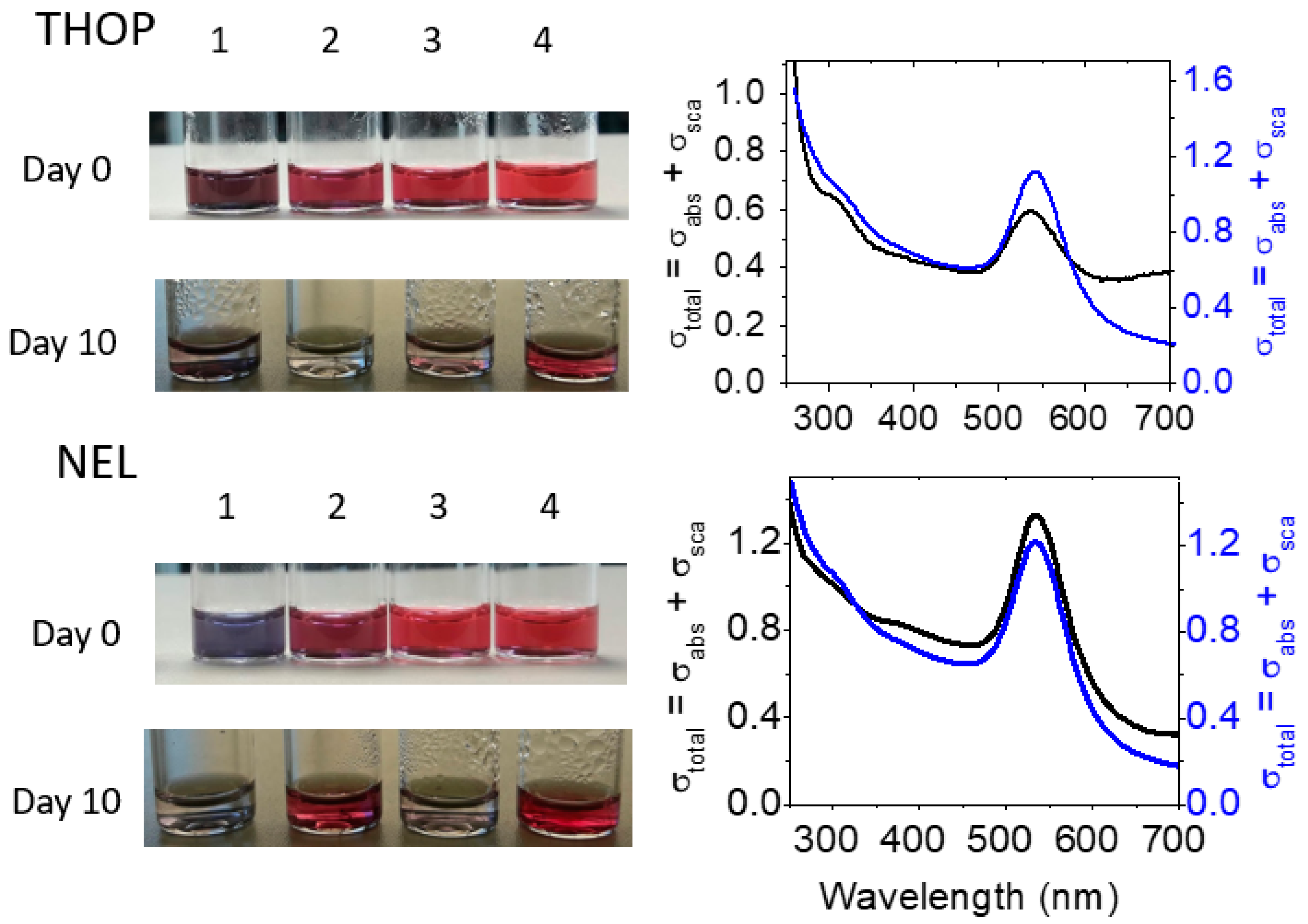 Catalysts 10 00078 g008