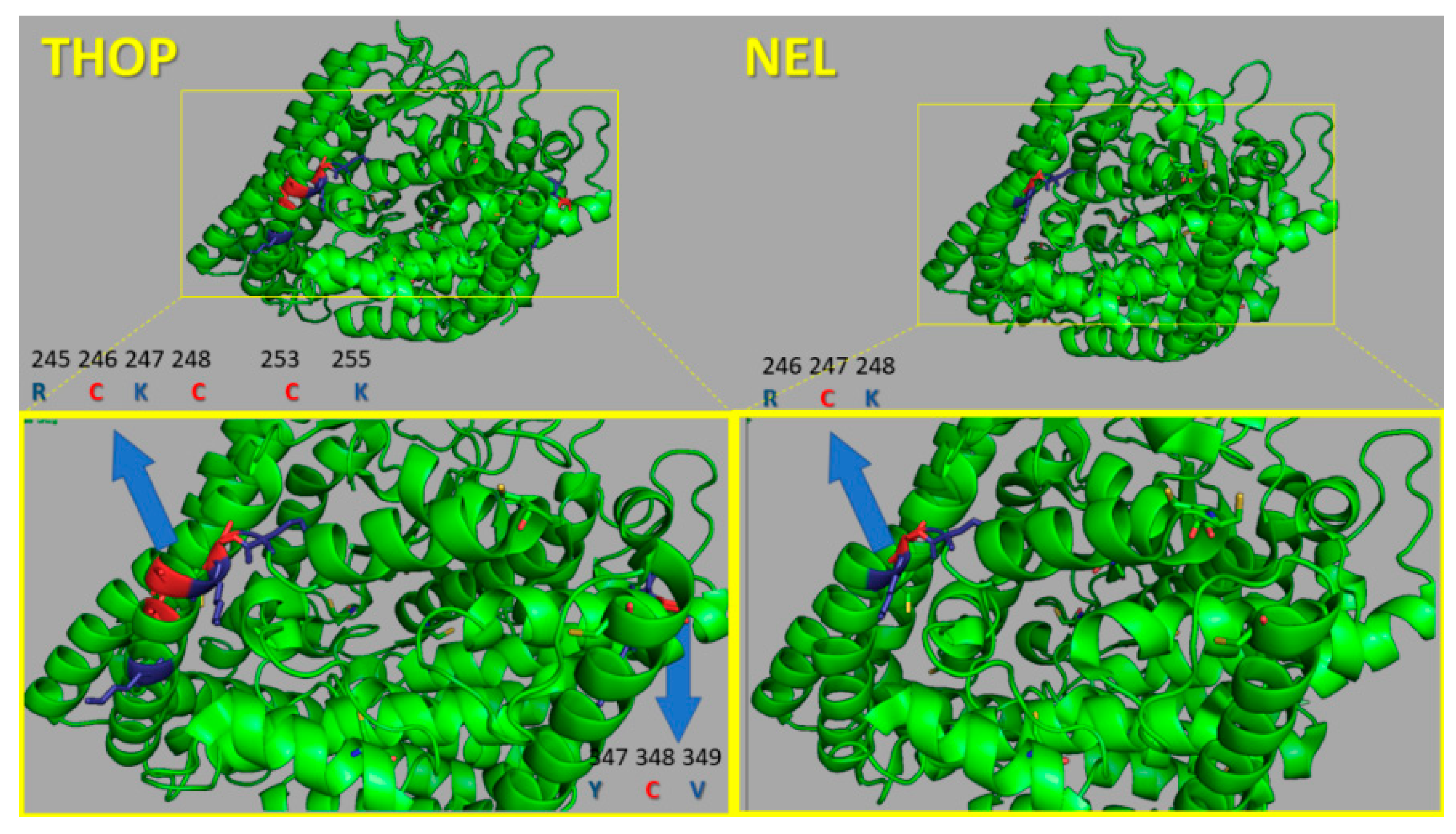 Catalysts 10 00078 g009
